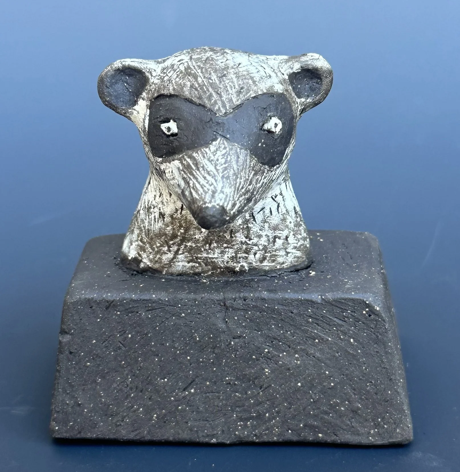 MBrennan-Racoon2.jpg