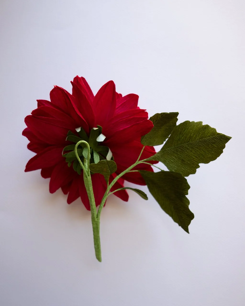 YLiu - Ember -L1030695 BACK.jpg