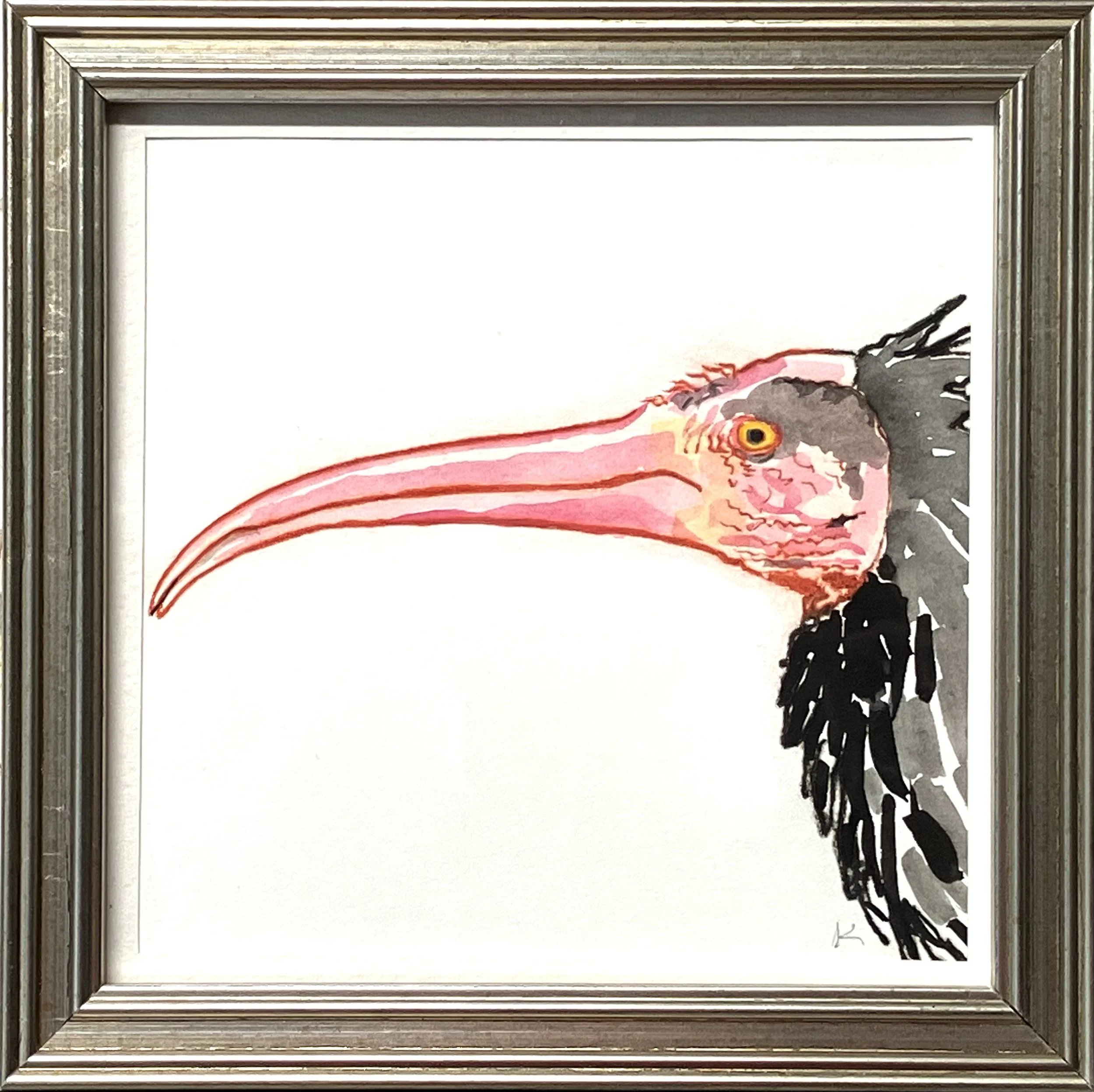 KBradner_Ibis framed.jpeg