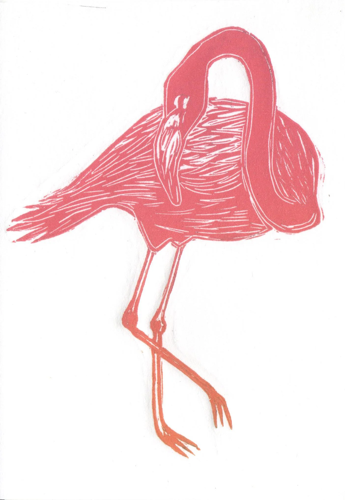 JMorgenstern-PinkFlamingo.jpg