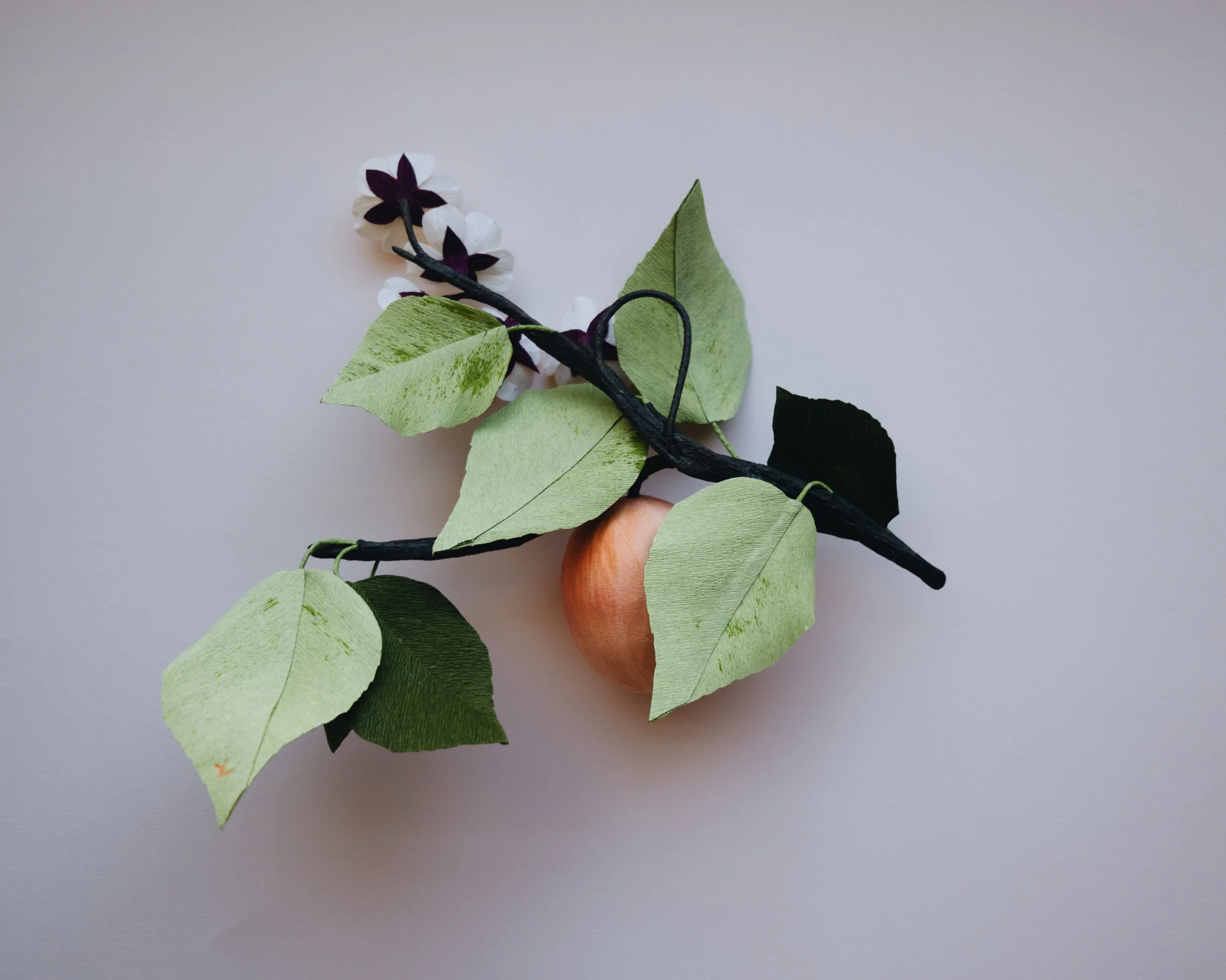 YLiu_Aprium Blush BACK-1030529.jpg