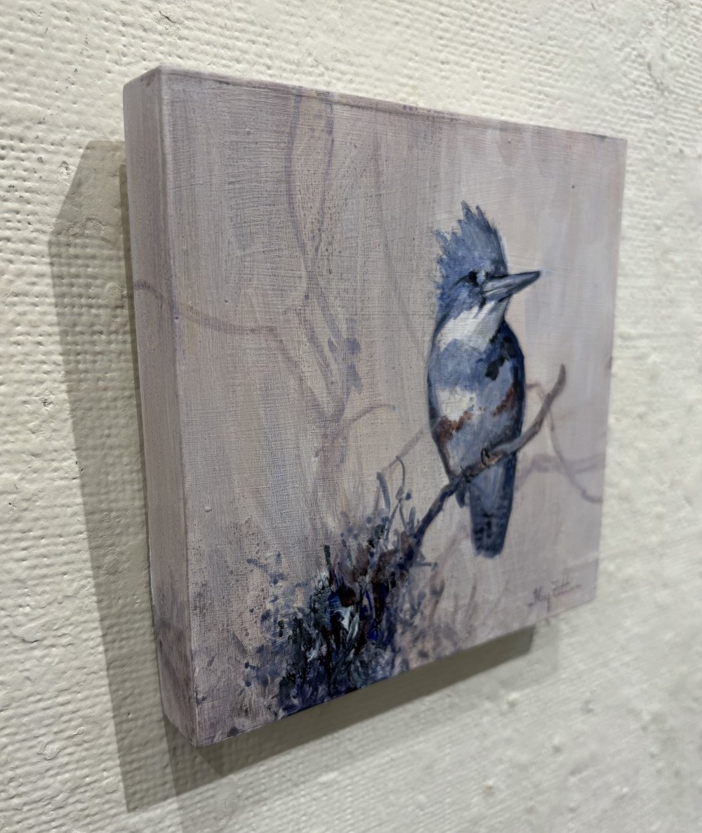 FZittin-Kingfisher and Brambles side.jpeg