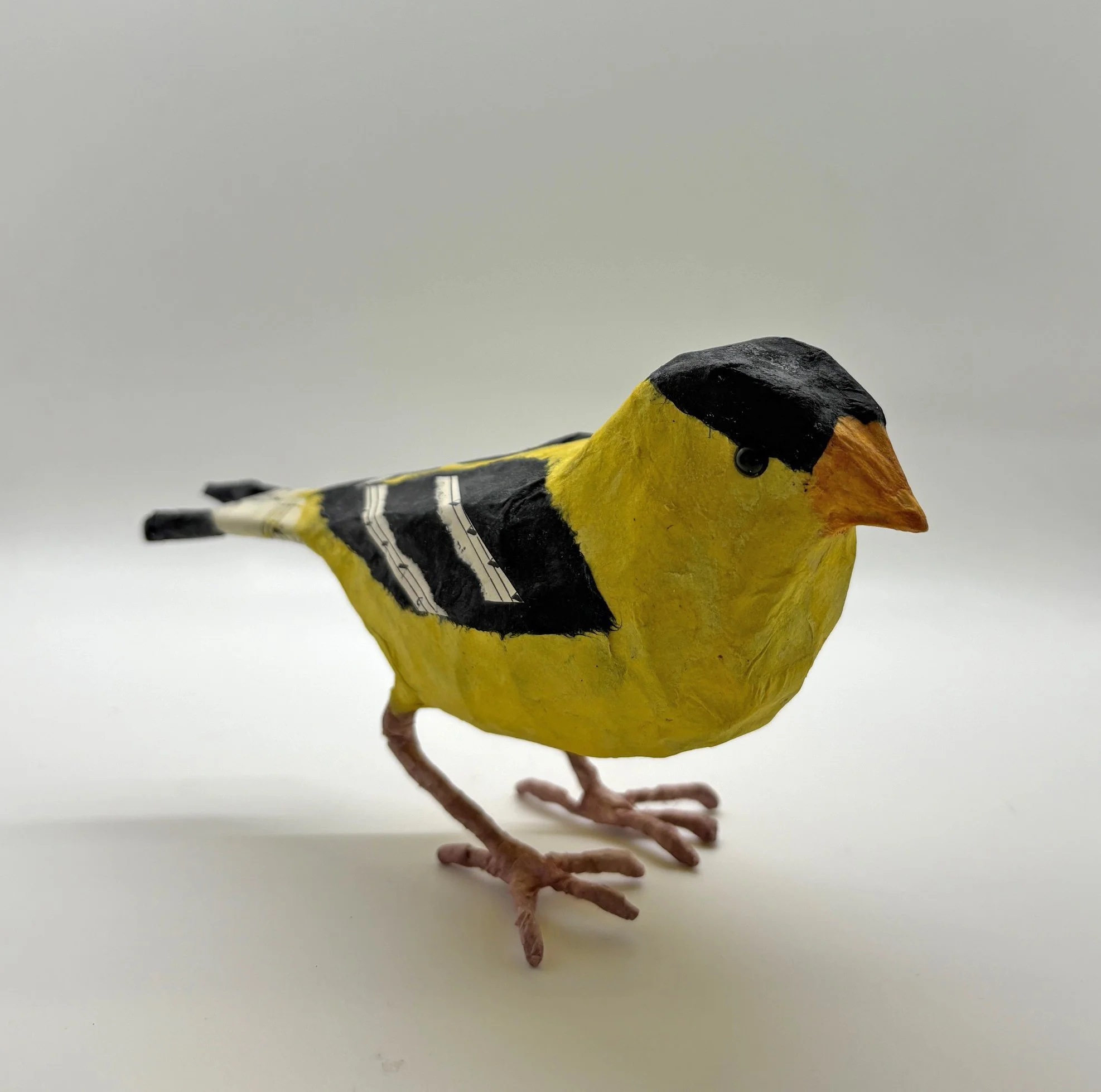 NOverton-Goldfinch2.jpg