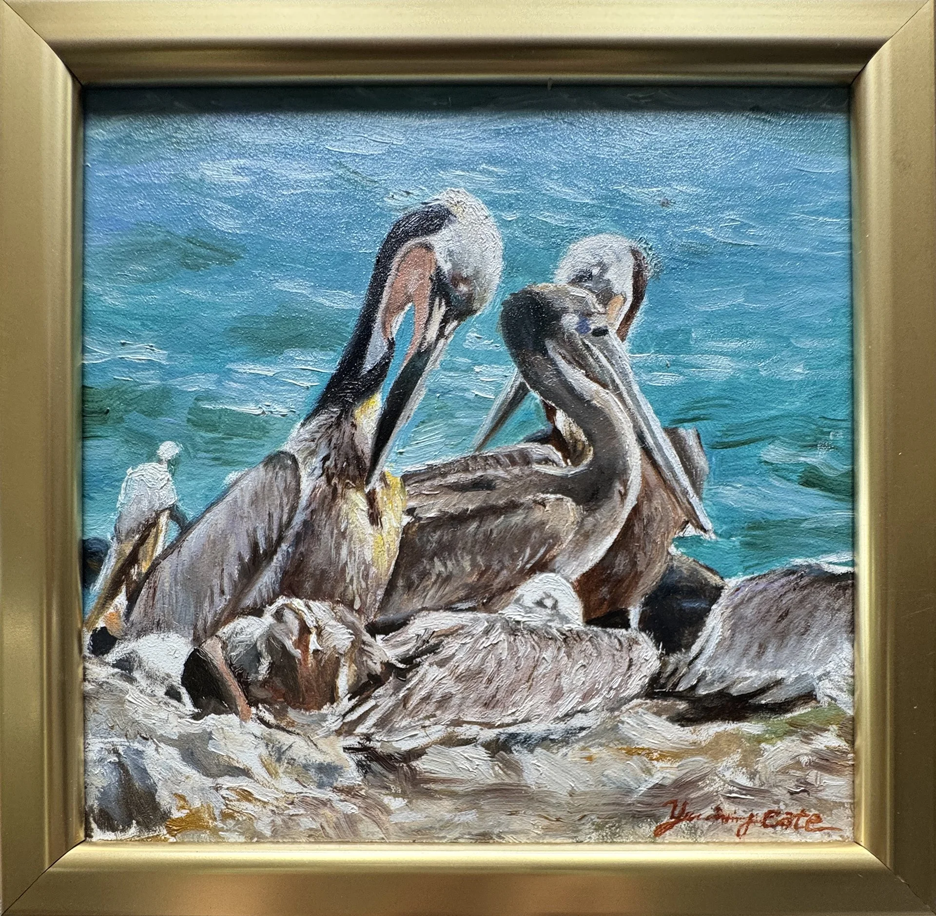YCate-Pelicans Nest-with frame.jpg