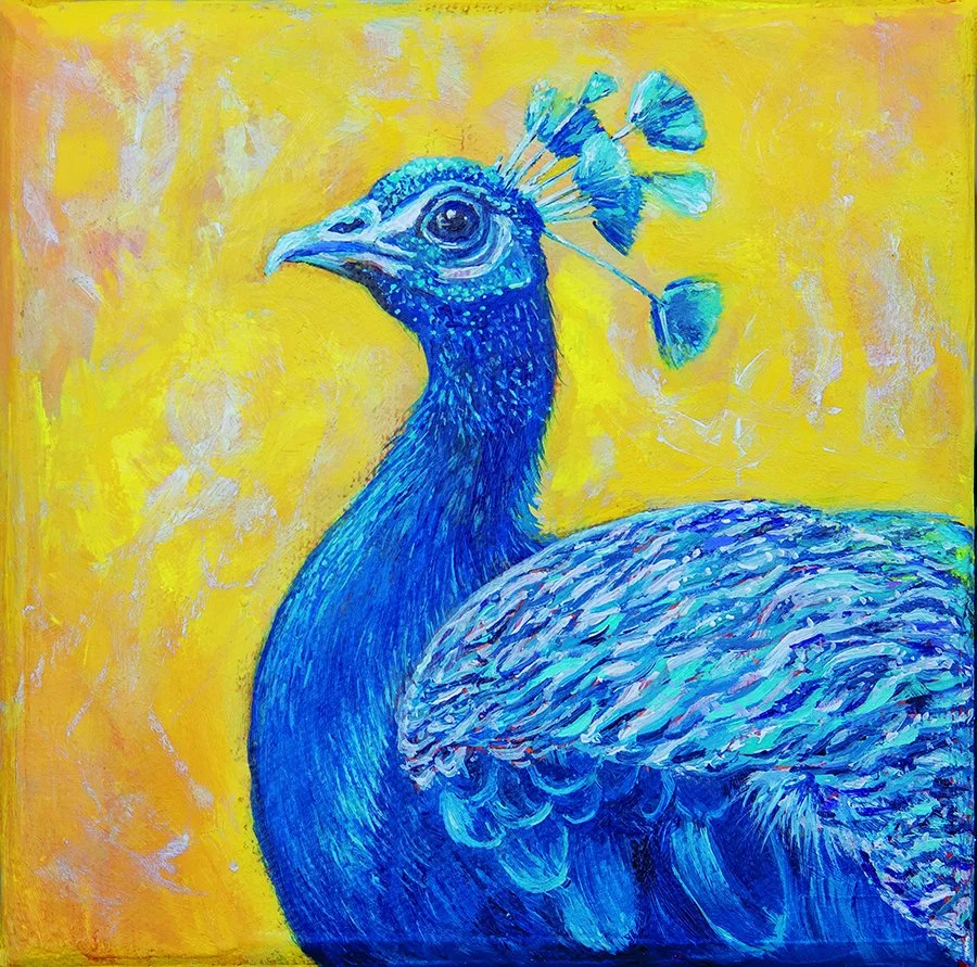 IChiu-The Peacock.jpg