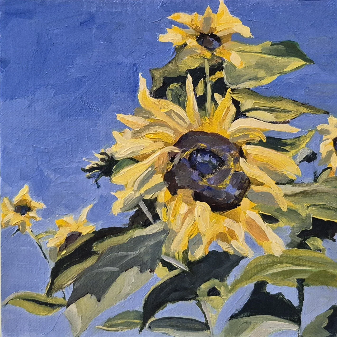 DKRich - Linda's Sunflower.jpg