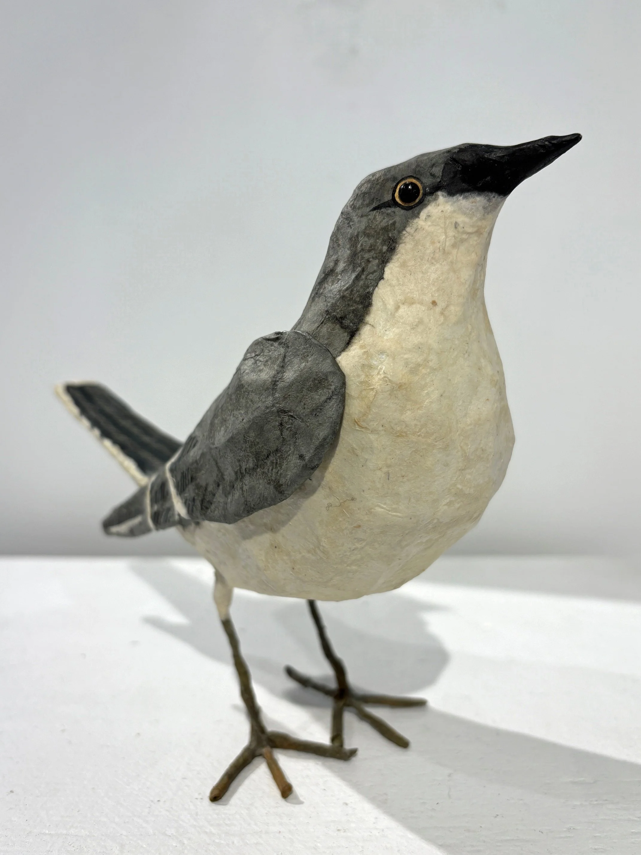 NOverton-Mockingbird3.jpg