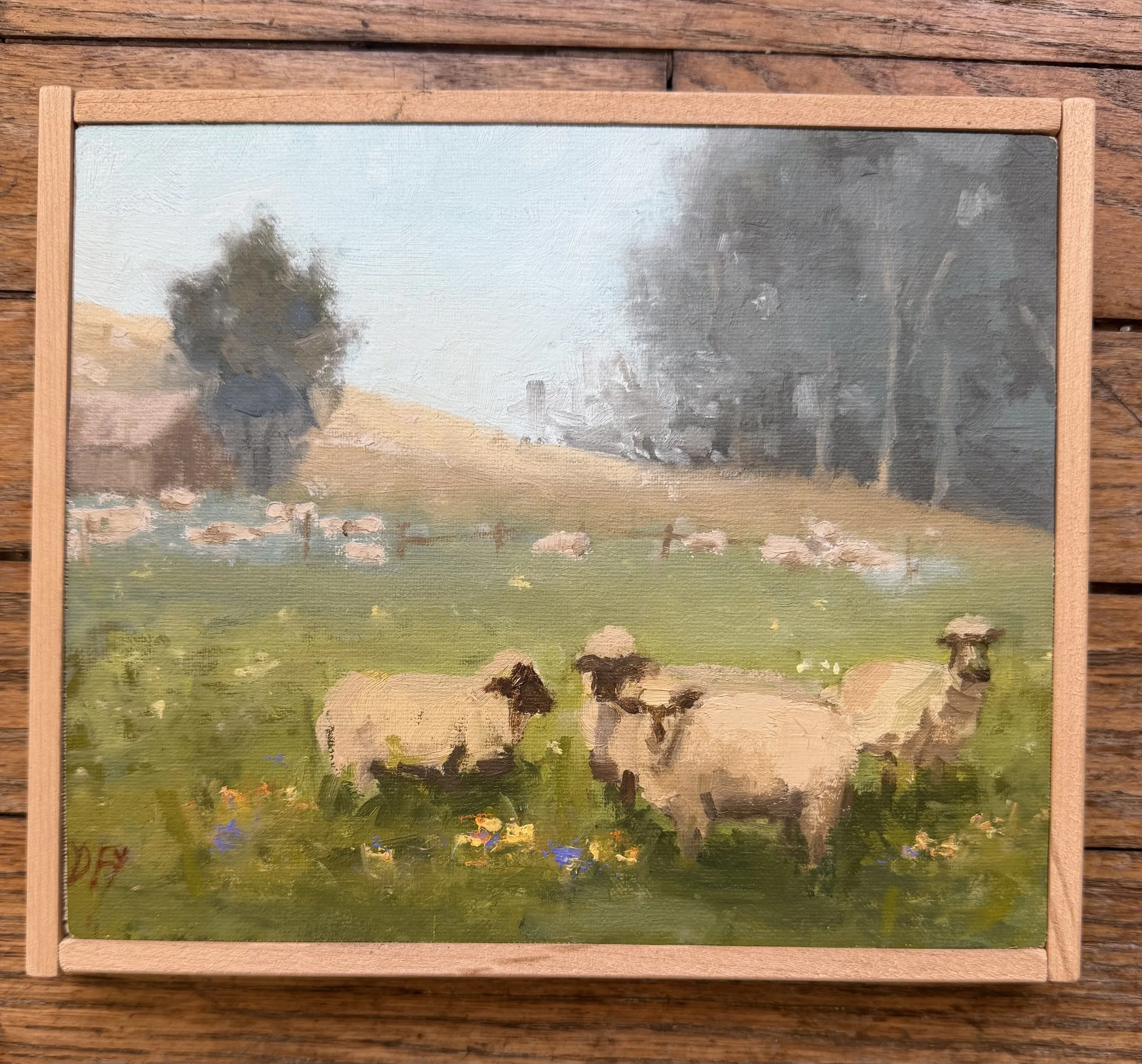 DFarzaneh _ Sheep at Sonoma _ Framed Front.jpeg
