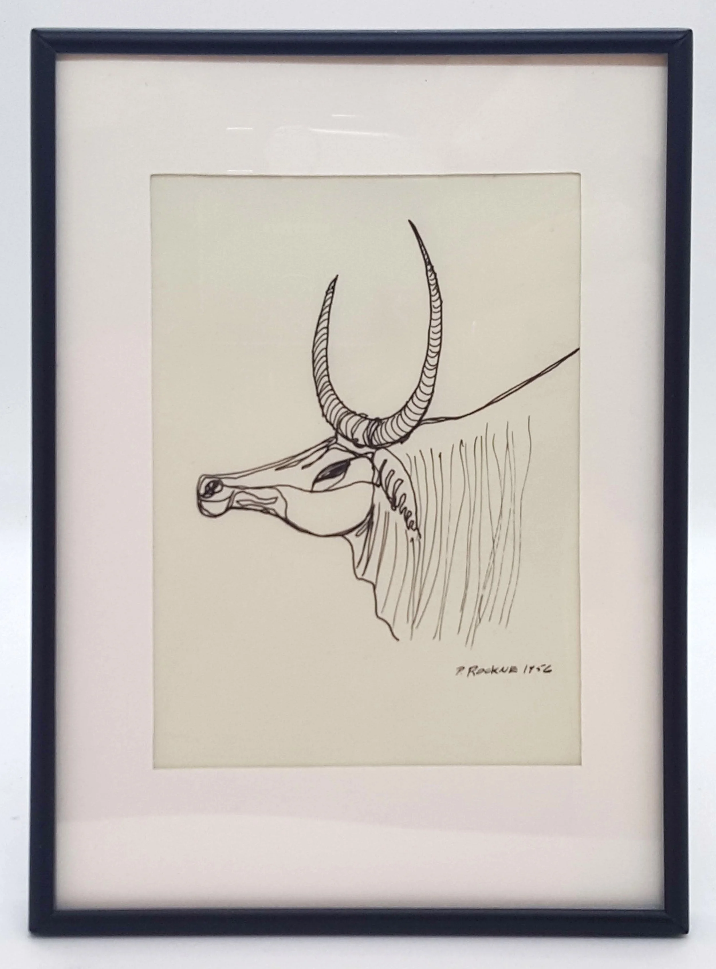 PRockne - Zebu framed.jpg
