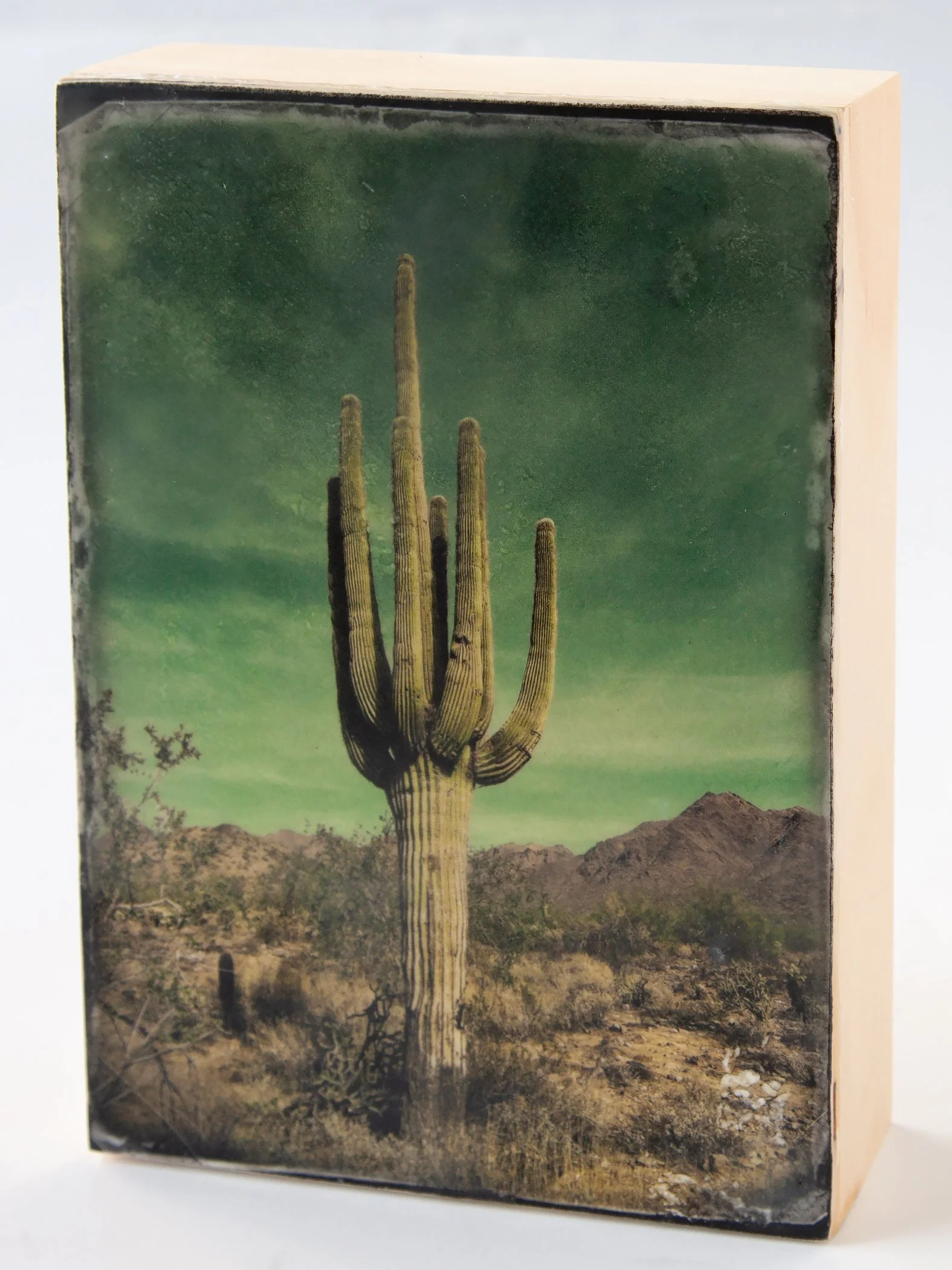 SGiblin-Saguaro_SGiblin.jpg