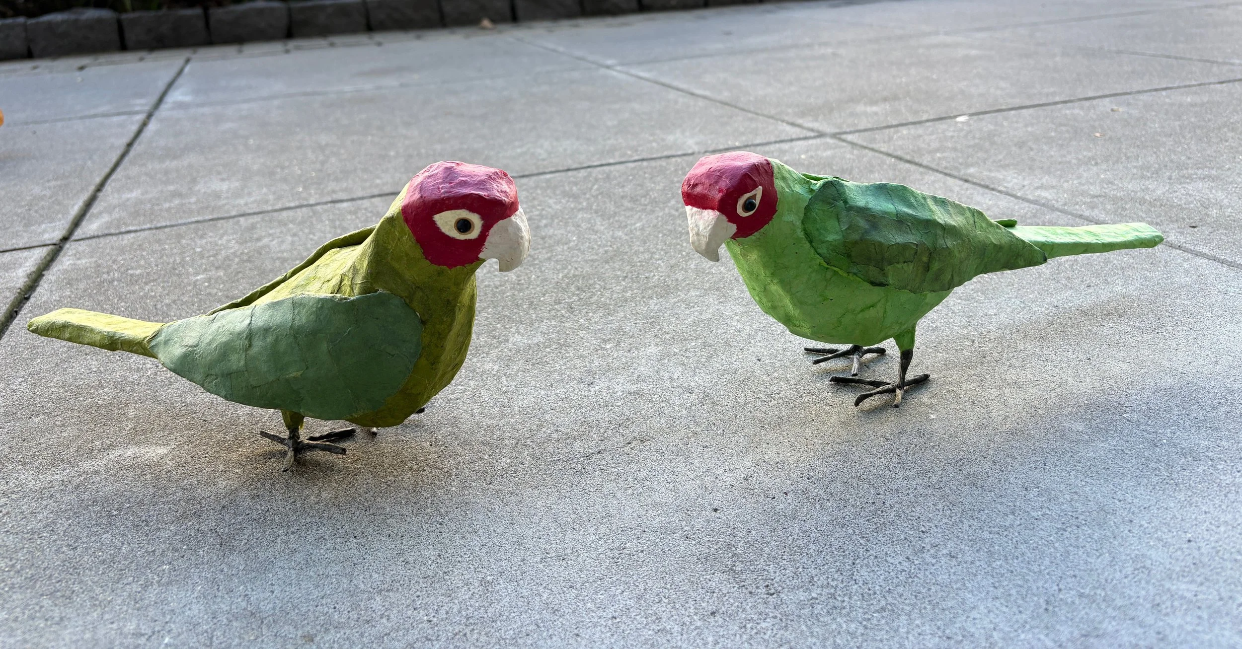 NOverton-Conures-2.jpg