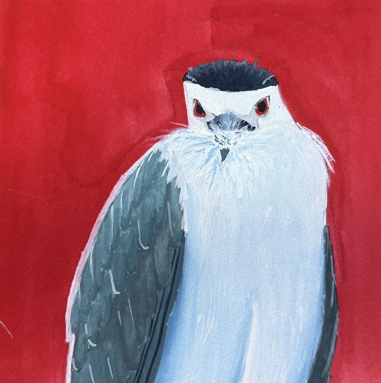 BZhang_birdwatching.jpg