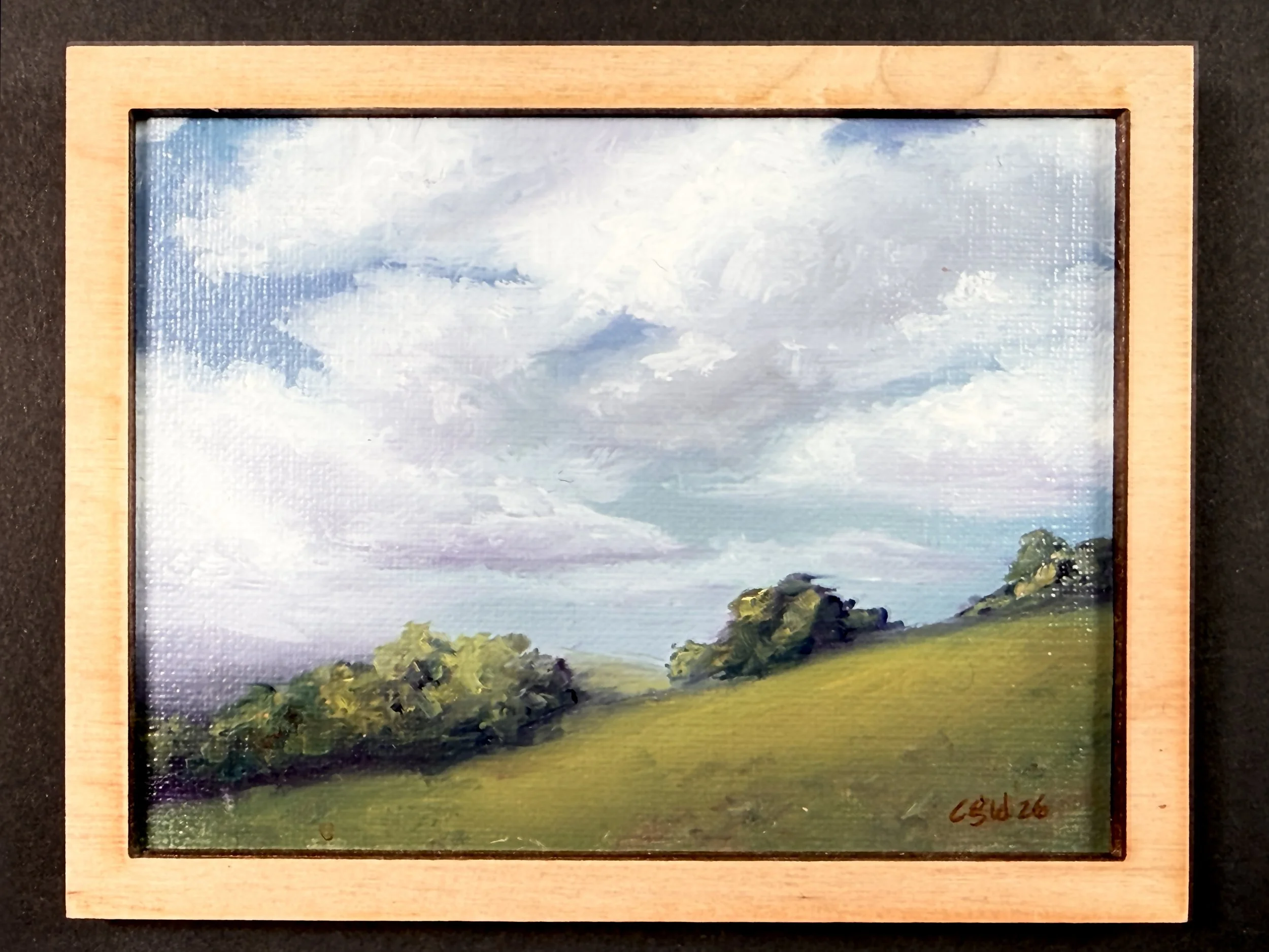 CGWilliams-Cloudbeyond-framed.jpg
