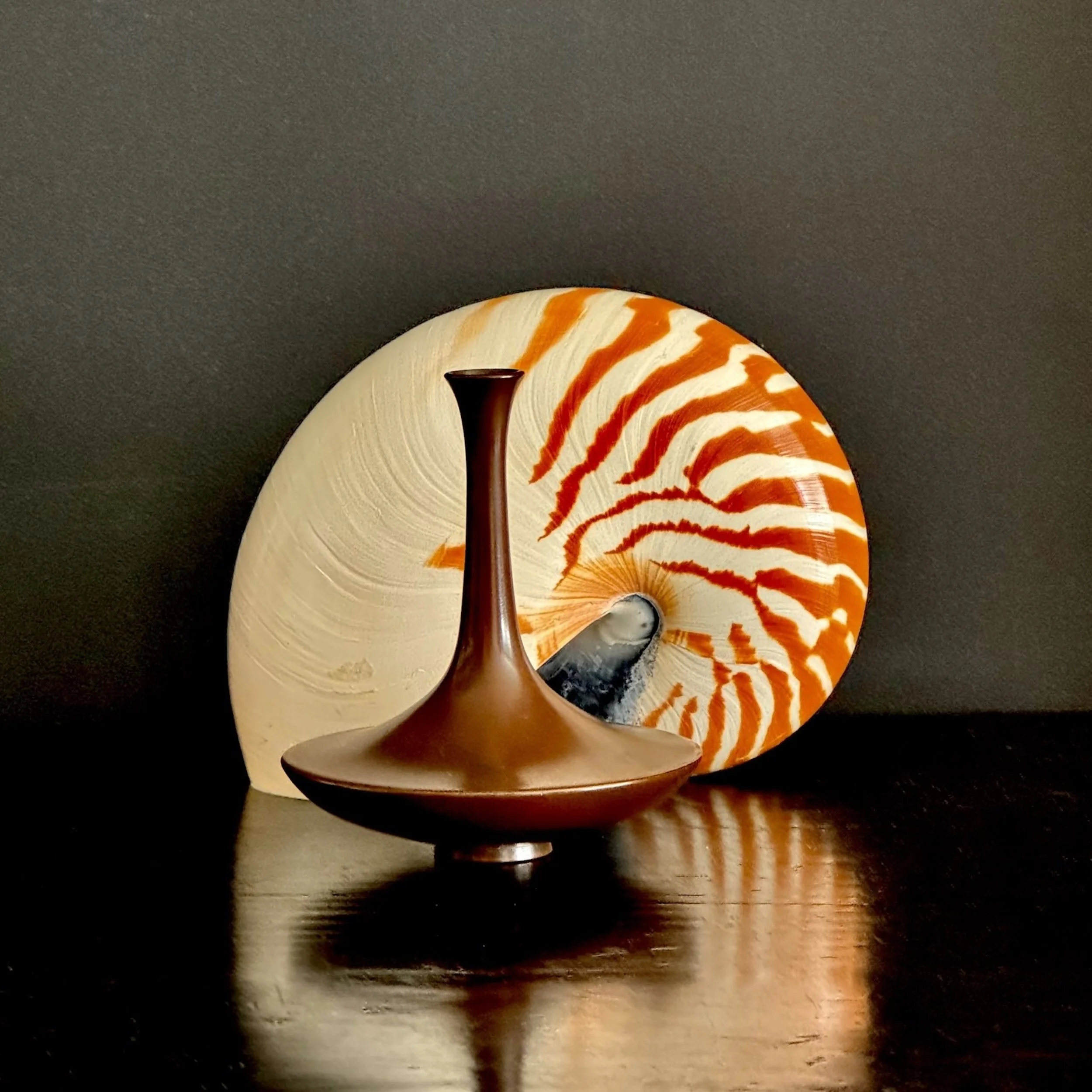 JAbrahams - Japanese Bronze and Nautilus.6X6.1200pixels.jpeg