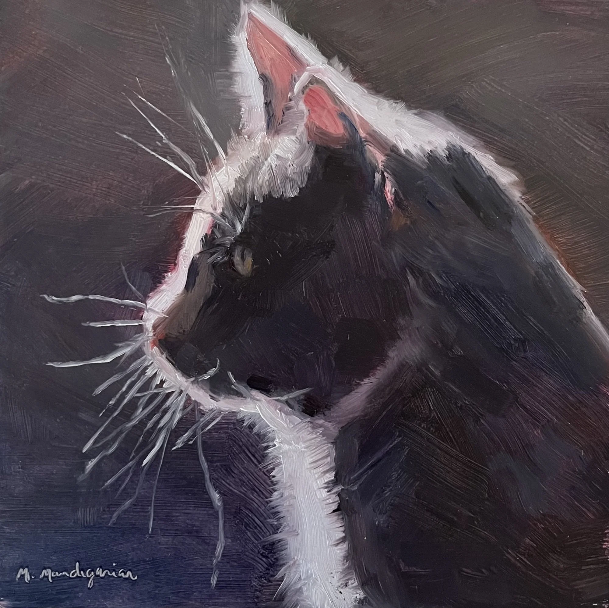 MMandegarian_SunlitCat.jpg