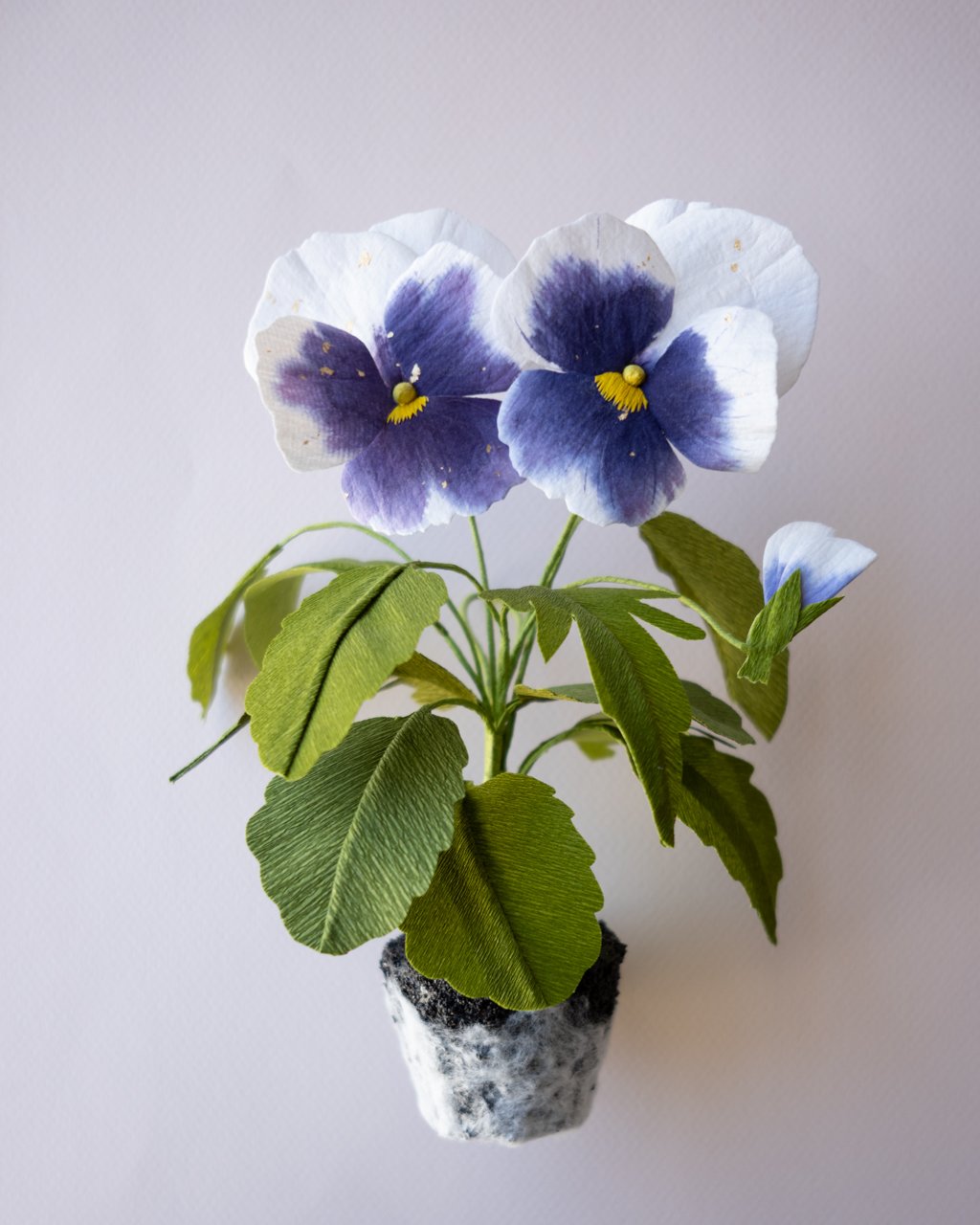 YLiu - Viola - L1030701 FRONT.jpg