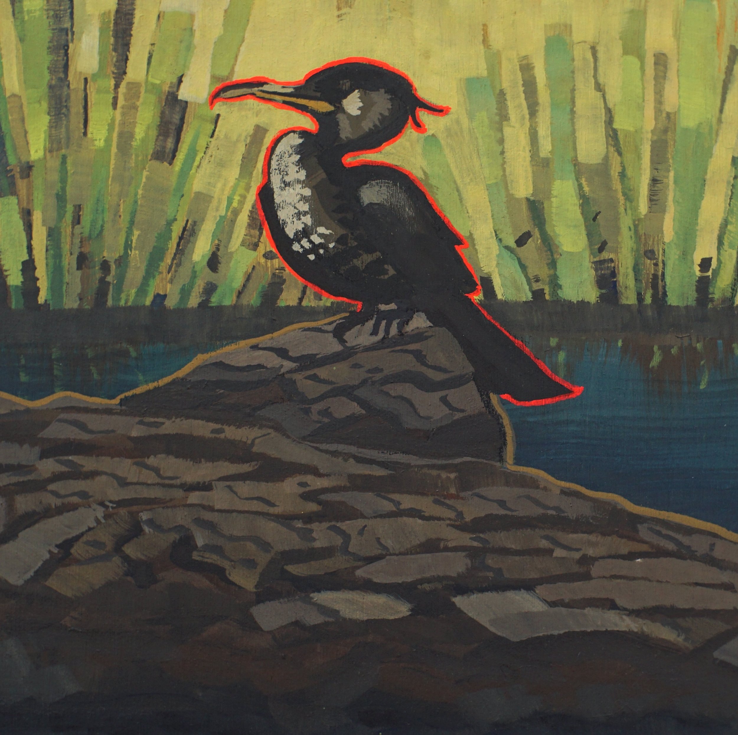 vshomo_cormorant1.JPG