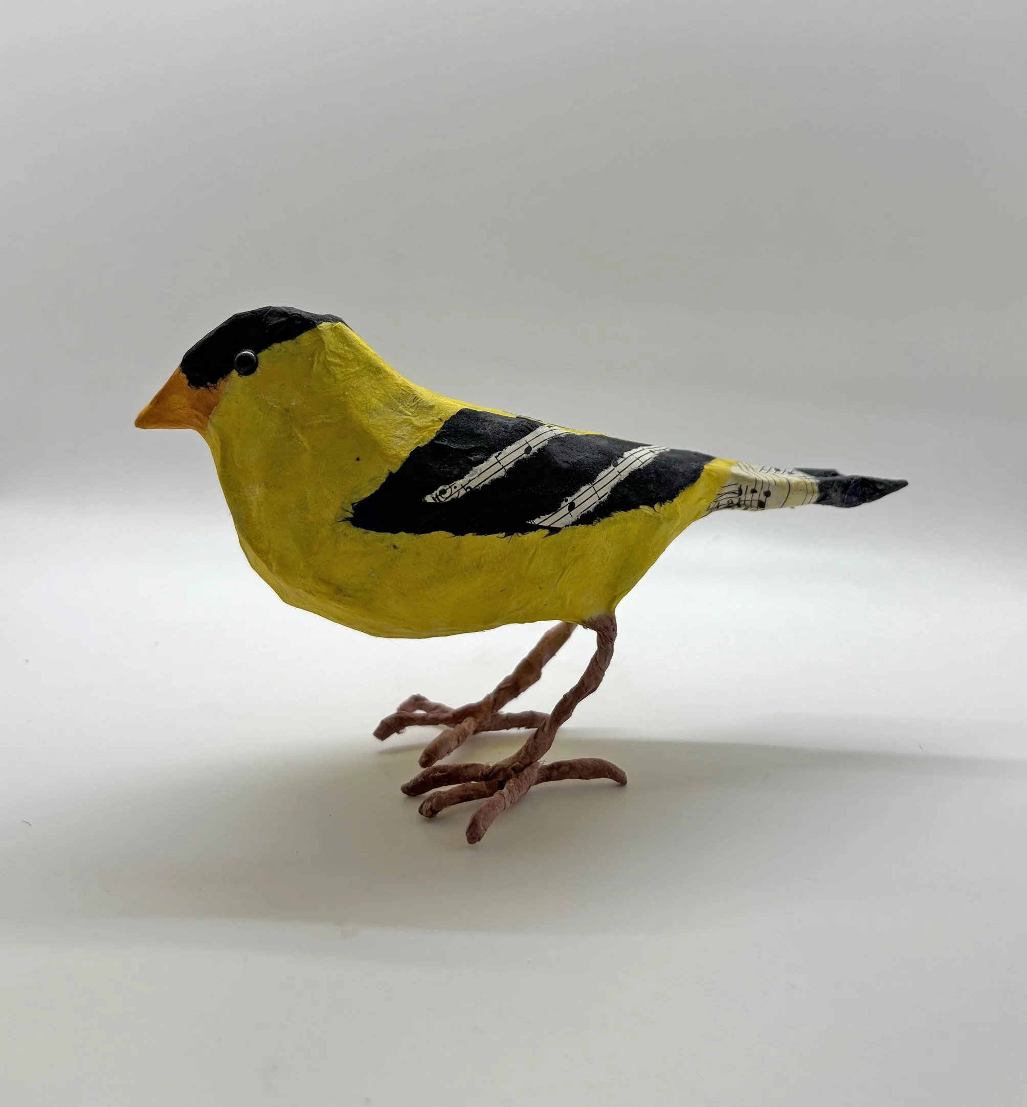 NOverton-Goldfinch1.jpg