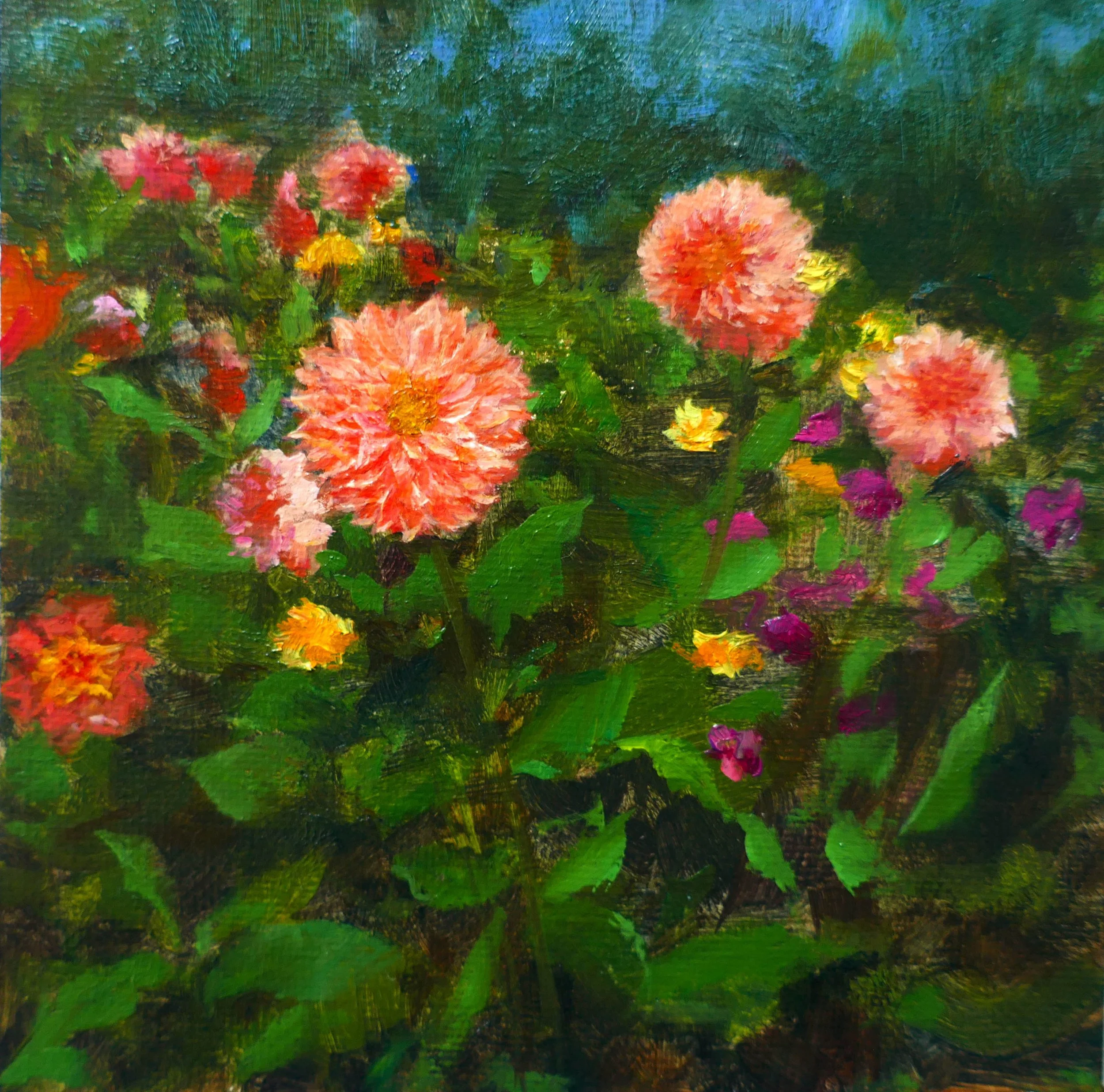 QMiao-dahlia_garden.jpg