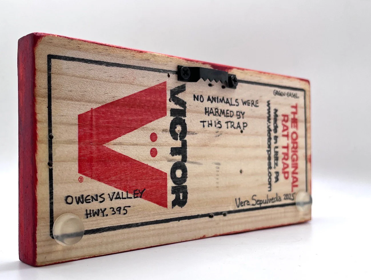 VSepulveda-No Animals- back.jpg