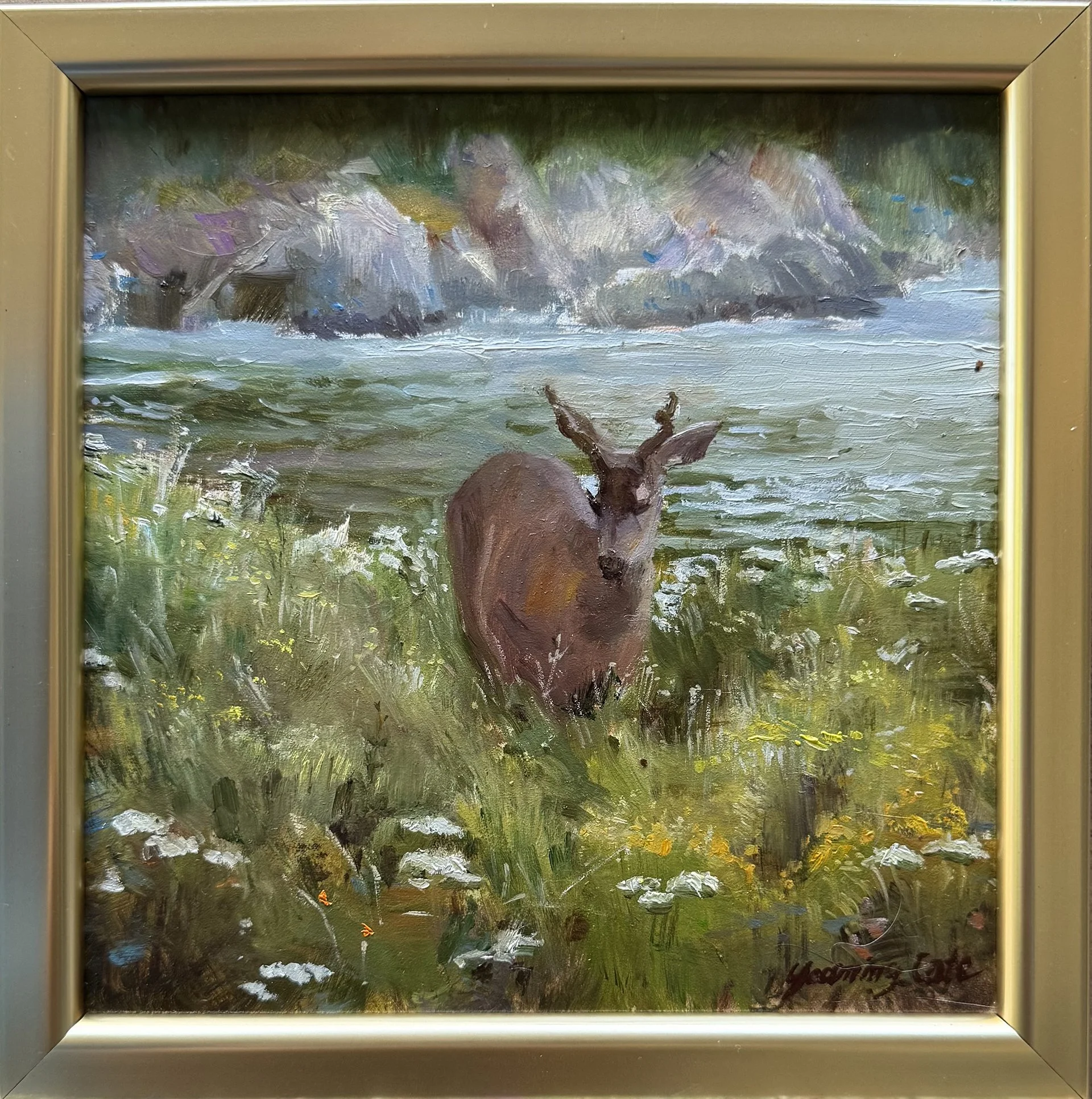 YCate-Coastal Antler View-with frame.jpg