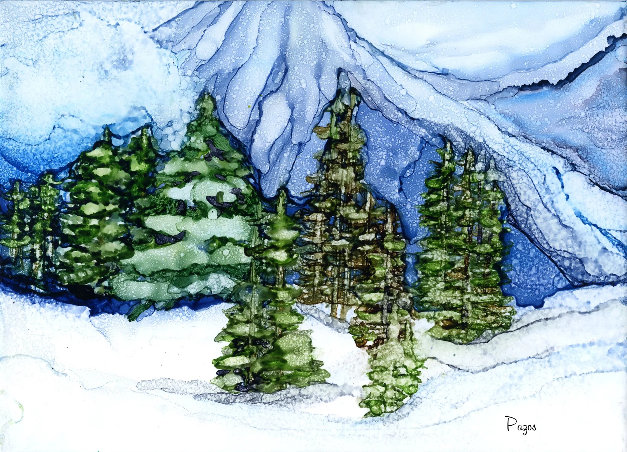 MPazos_mountain&Pines.jpg