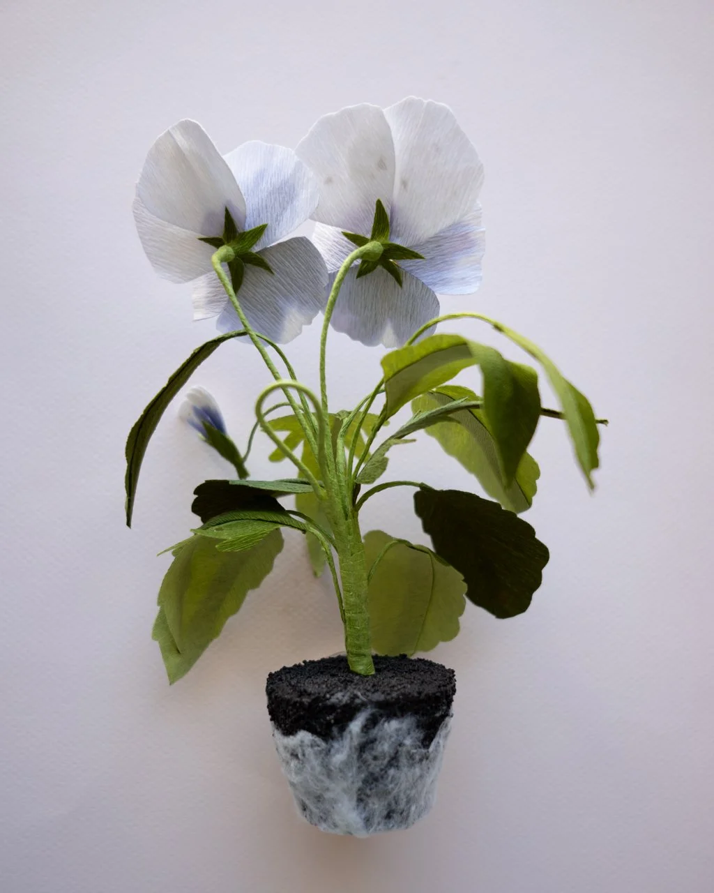 YLiu - Viola - L1030697 BACK.jpg