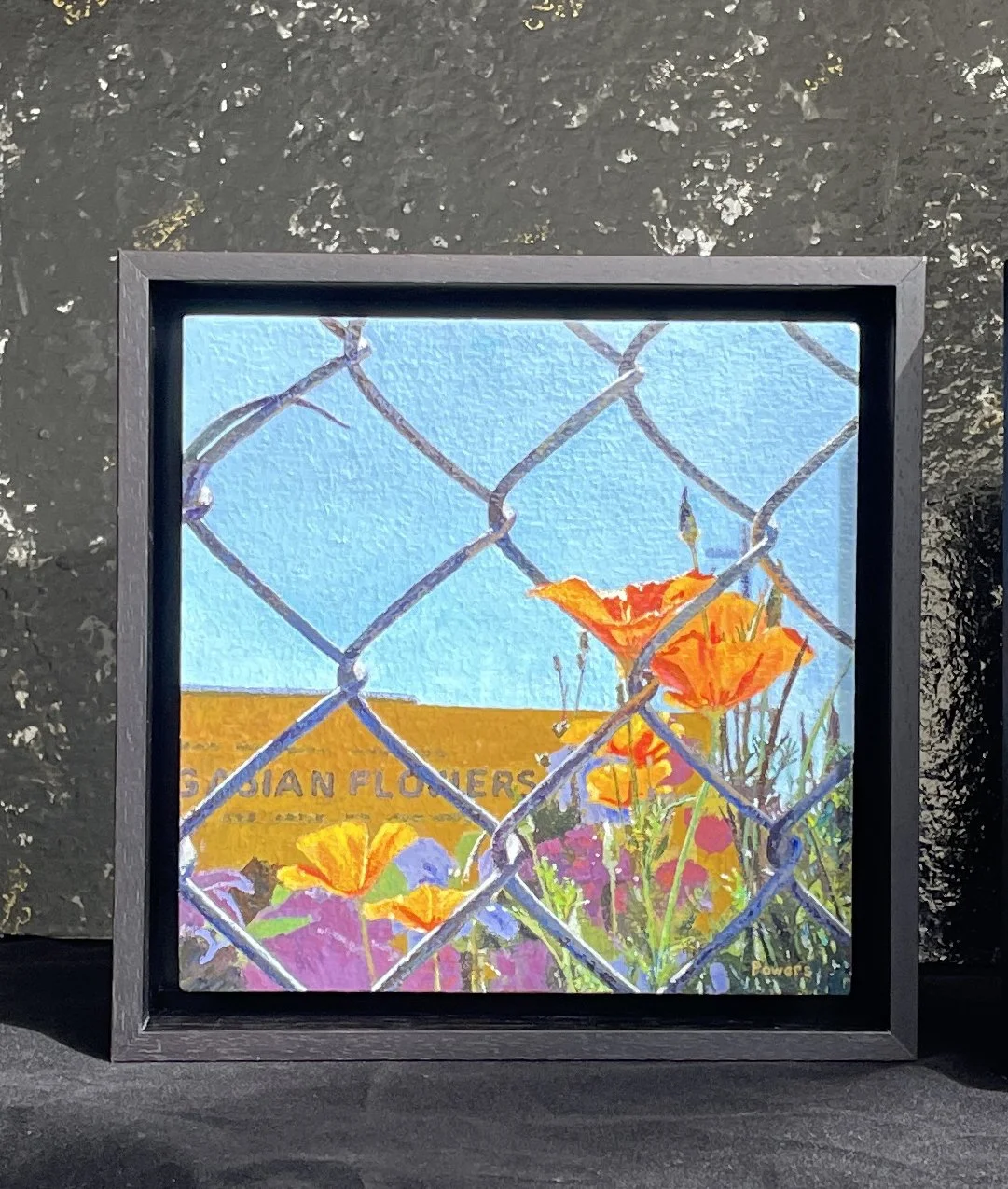 MDPowers-framed.jpg