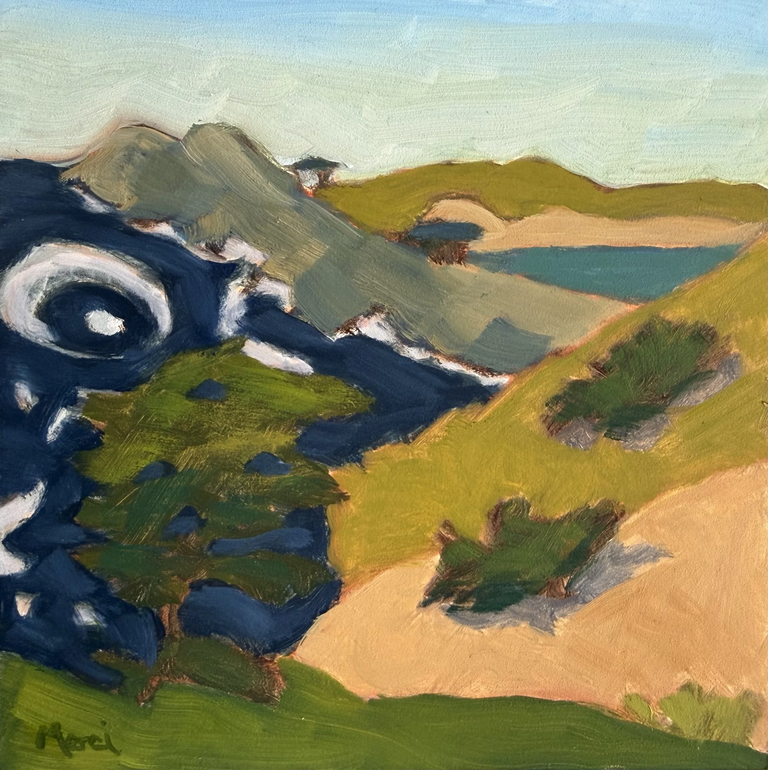 MMcDermott-Above the Cove.jpeg