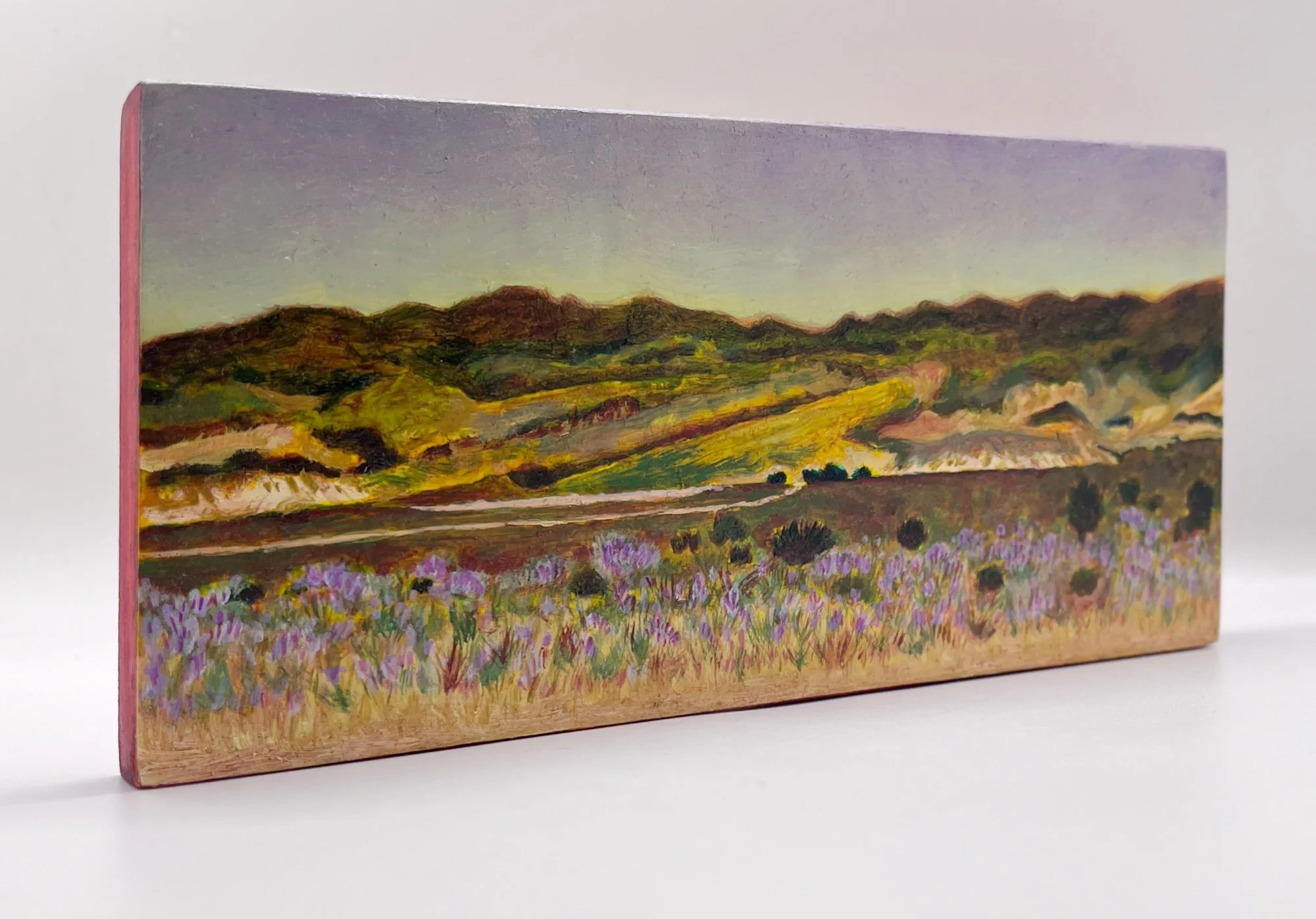 VSepulveda-Owens side.jpeg