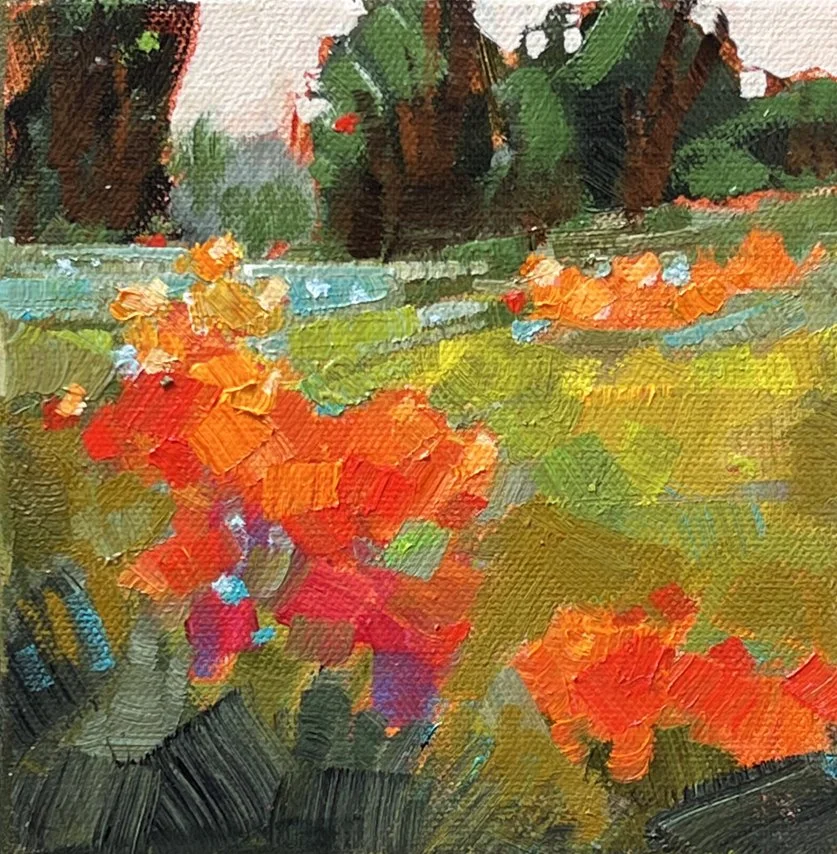 KWhitePortola Wildflower Field.jpg