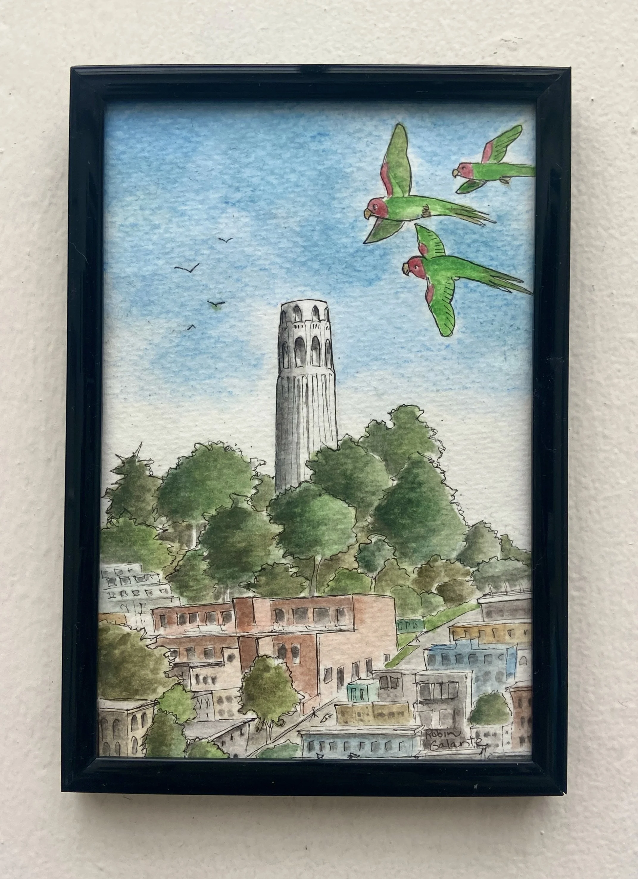 RGalante-Parrots over Telegraph Hill 2.jpeg