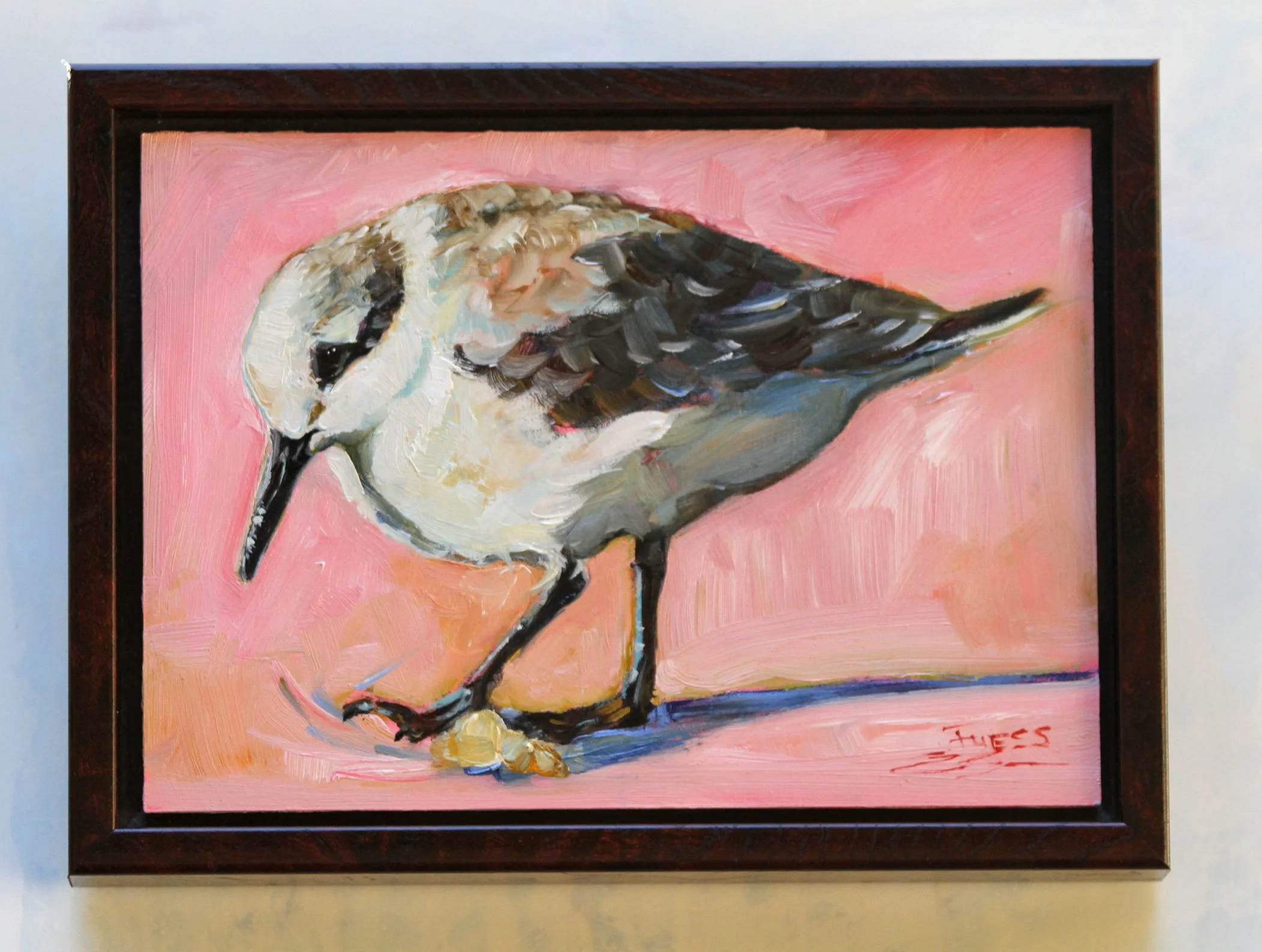 SFuess-Sanderling Strut framed- S. Fuess.jpg