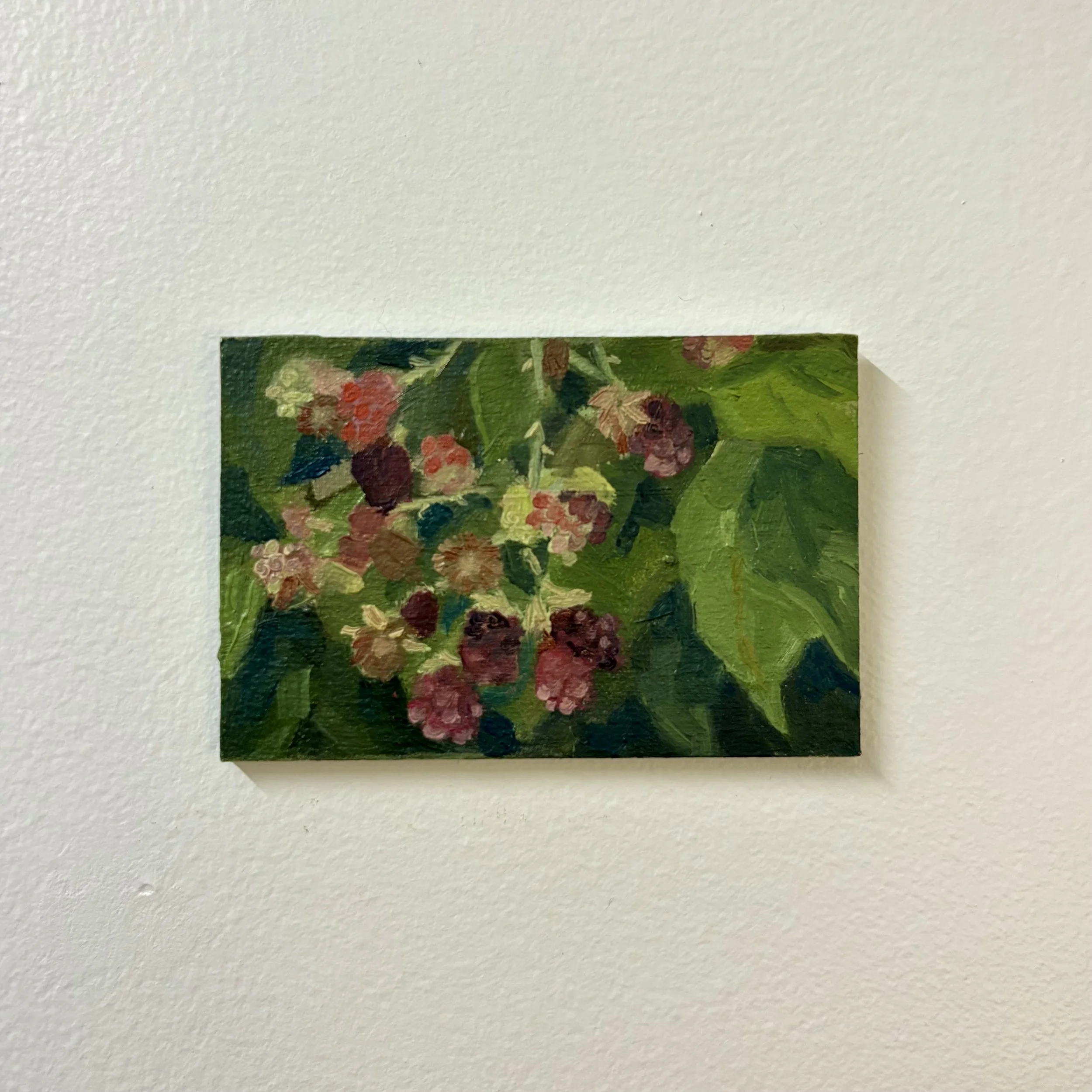 ARivera-Wild Raspberries_Ariel Rivera_2x4.jpg