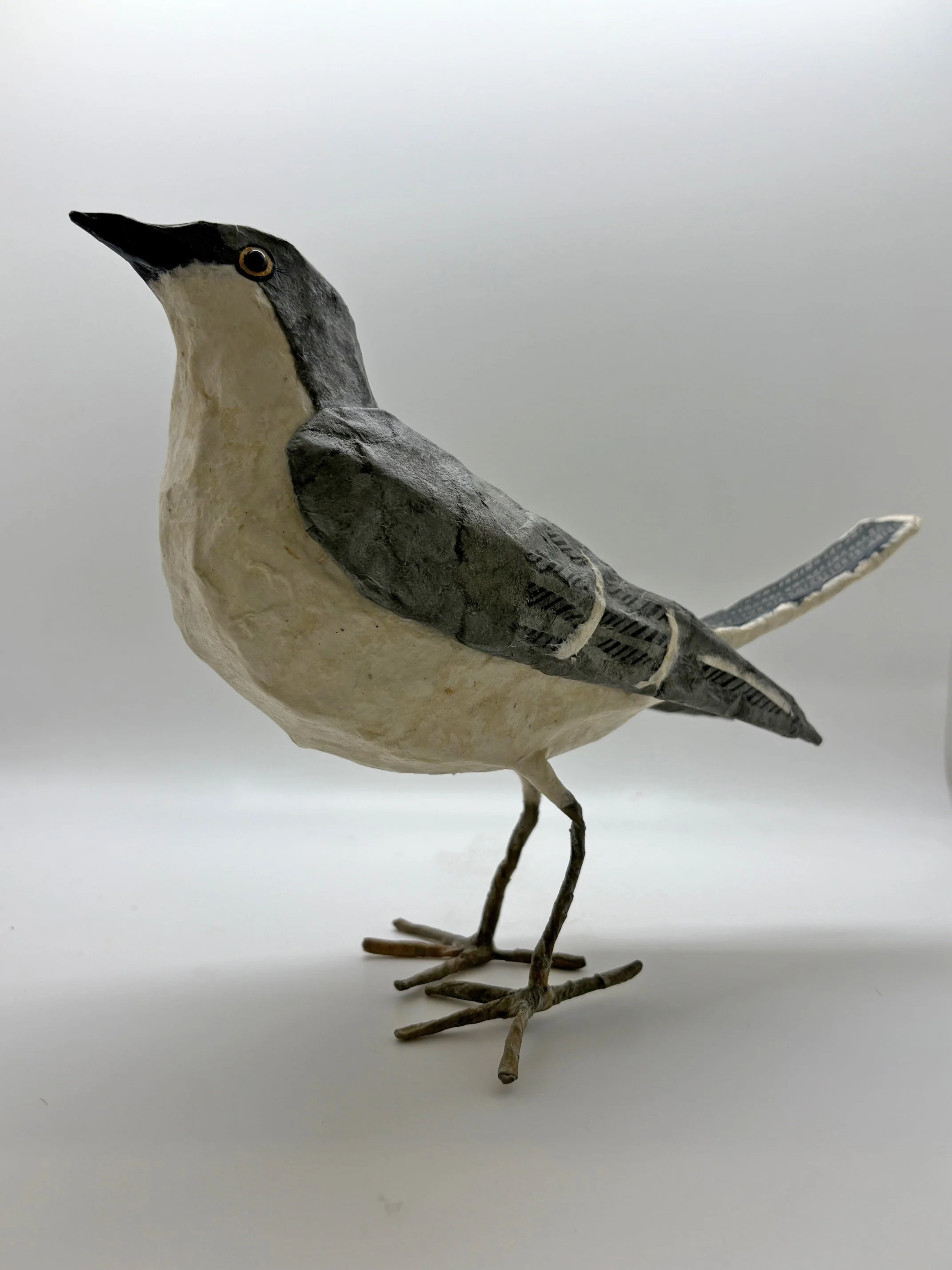 NOverton-Mockingbird1.jpg