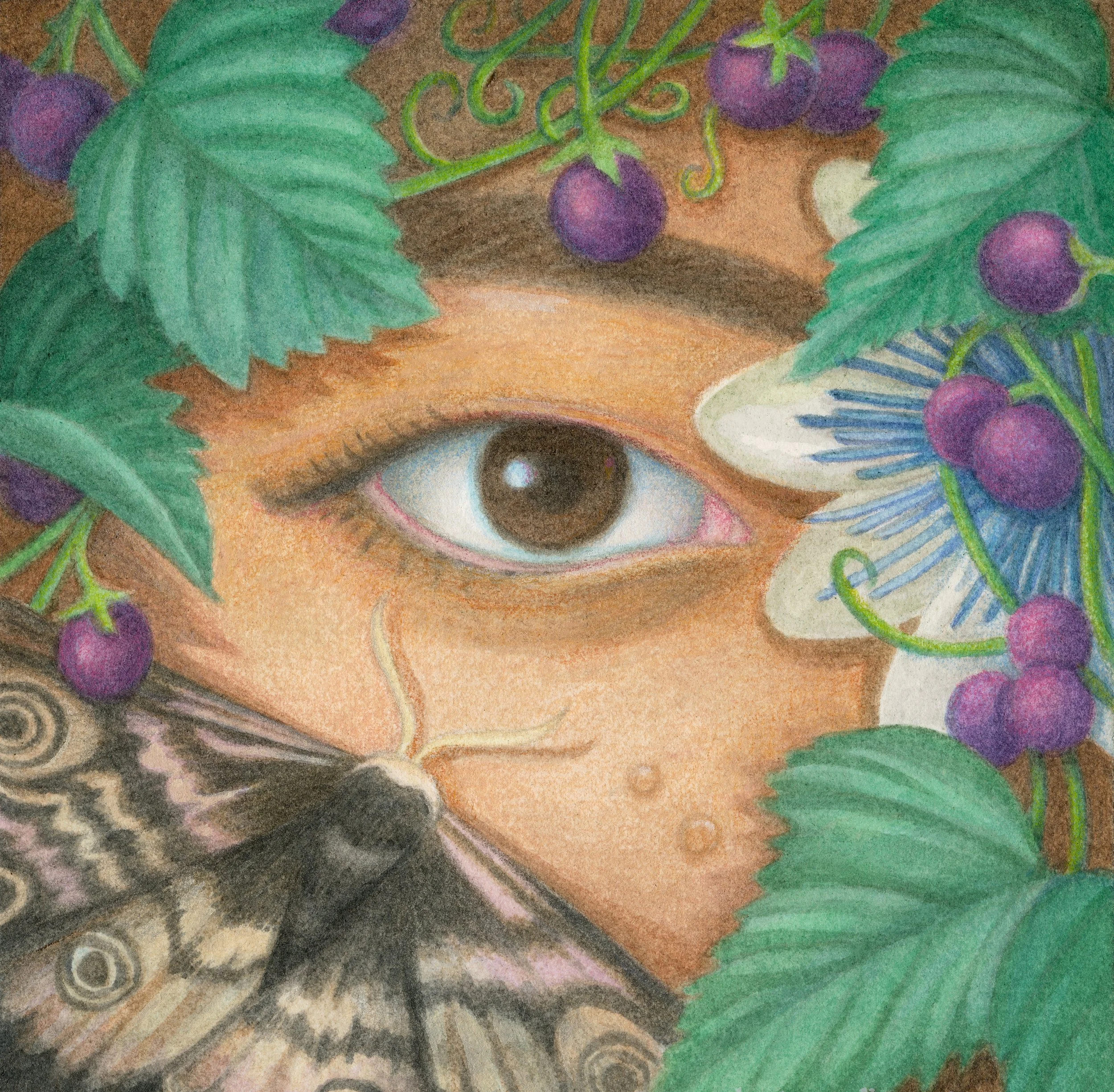 JLundman-LoversEye_1_butterfly.jpg