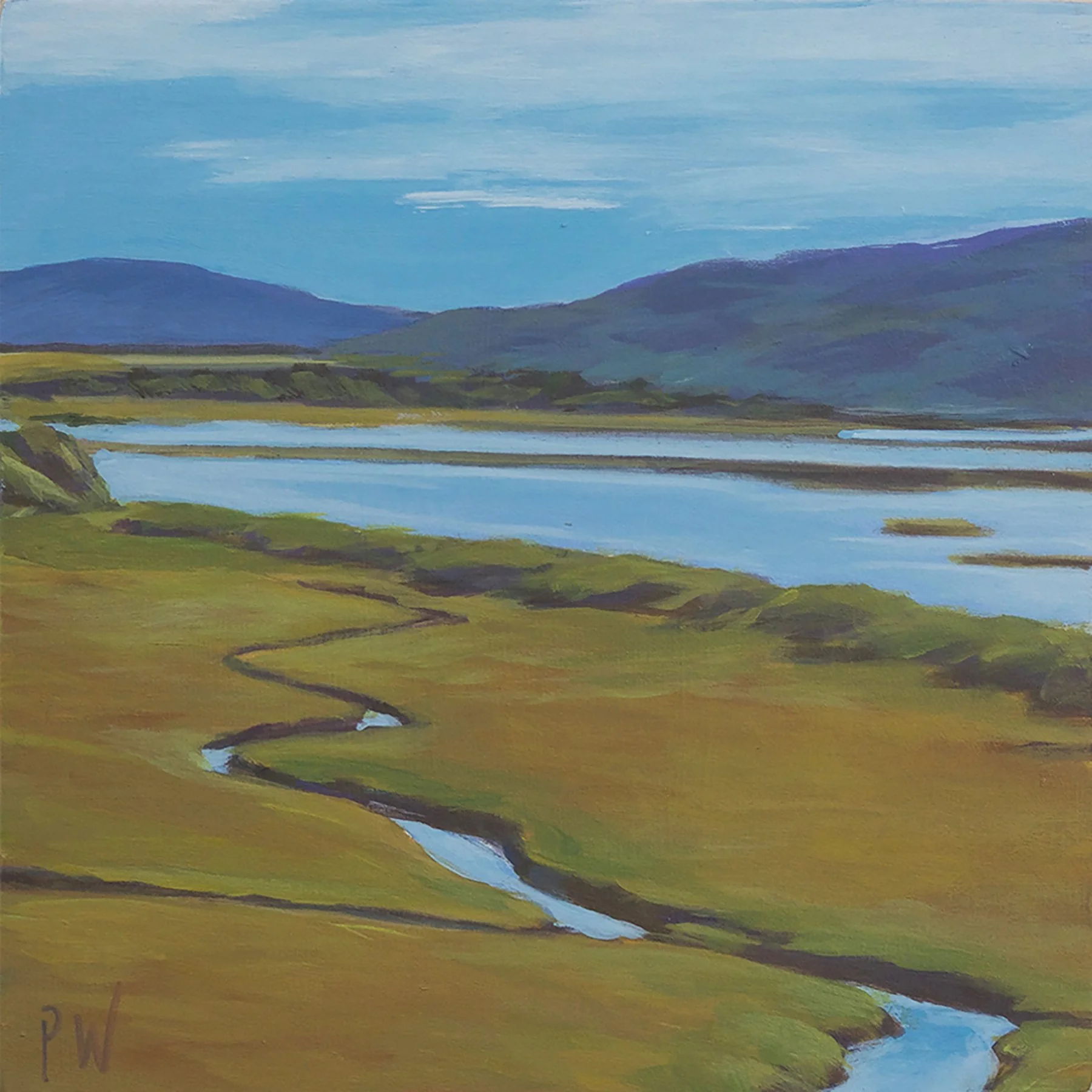 PWachs_Tomales Bay Estuary.jpg