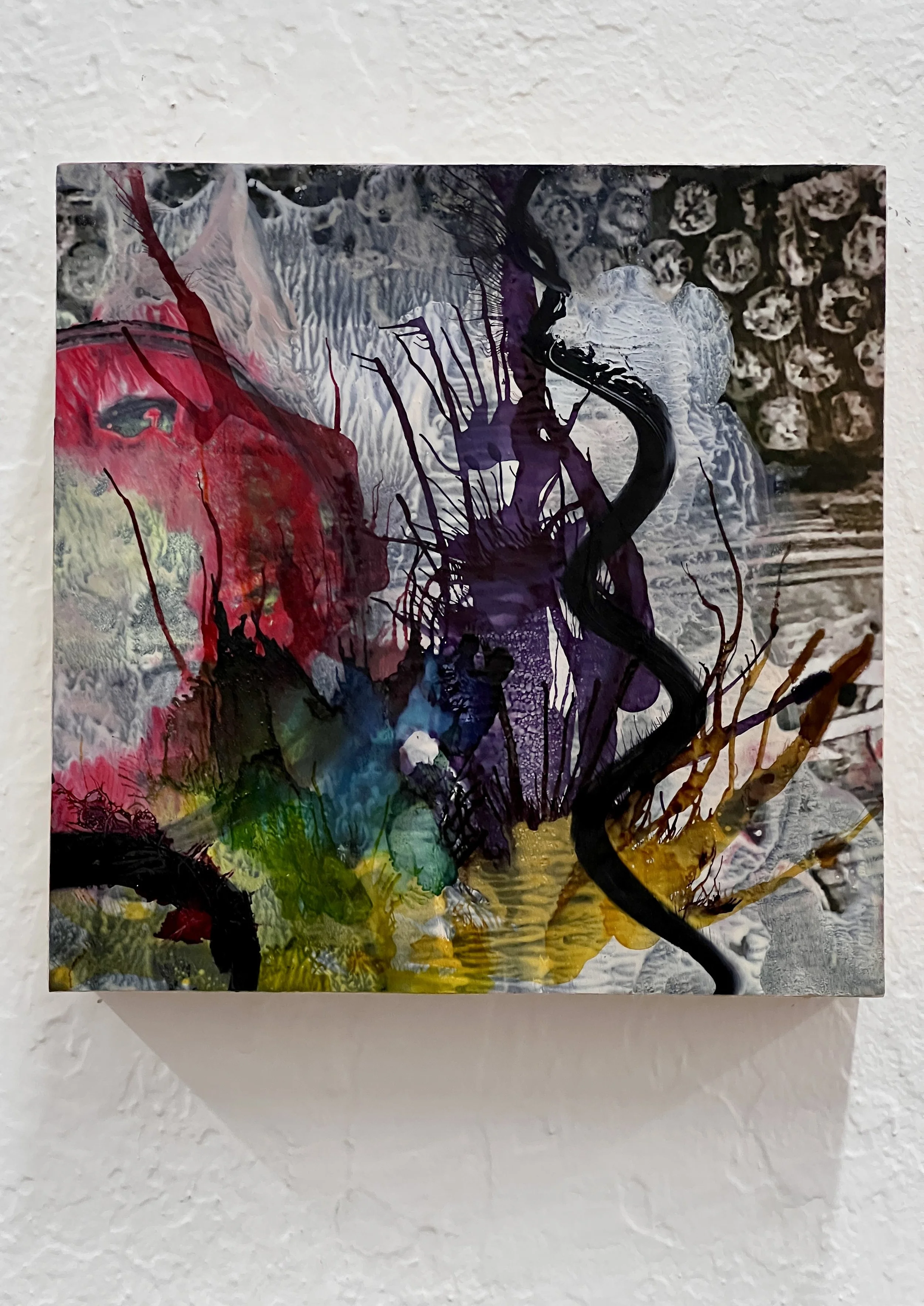 PLeeds-Octopus's Garden.JPG