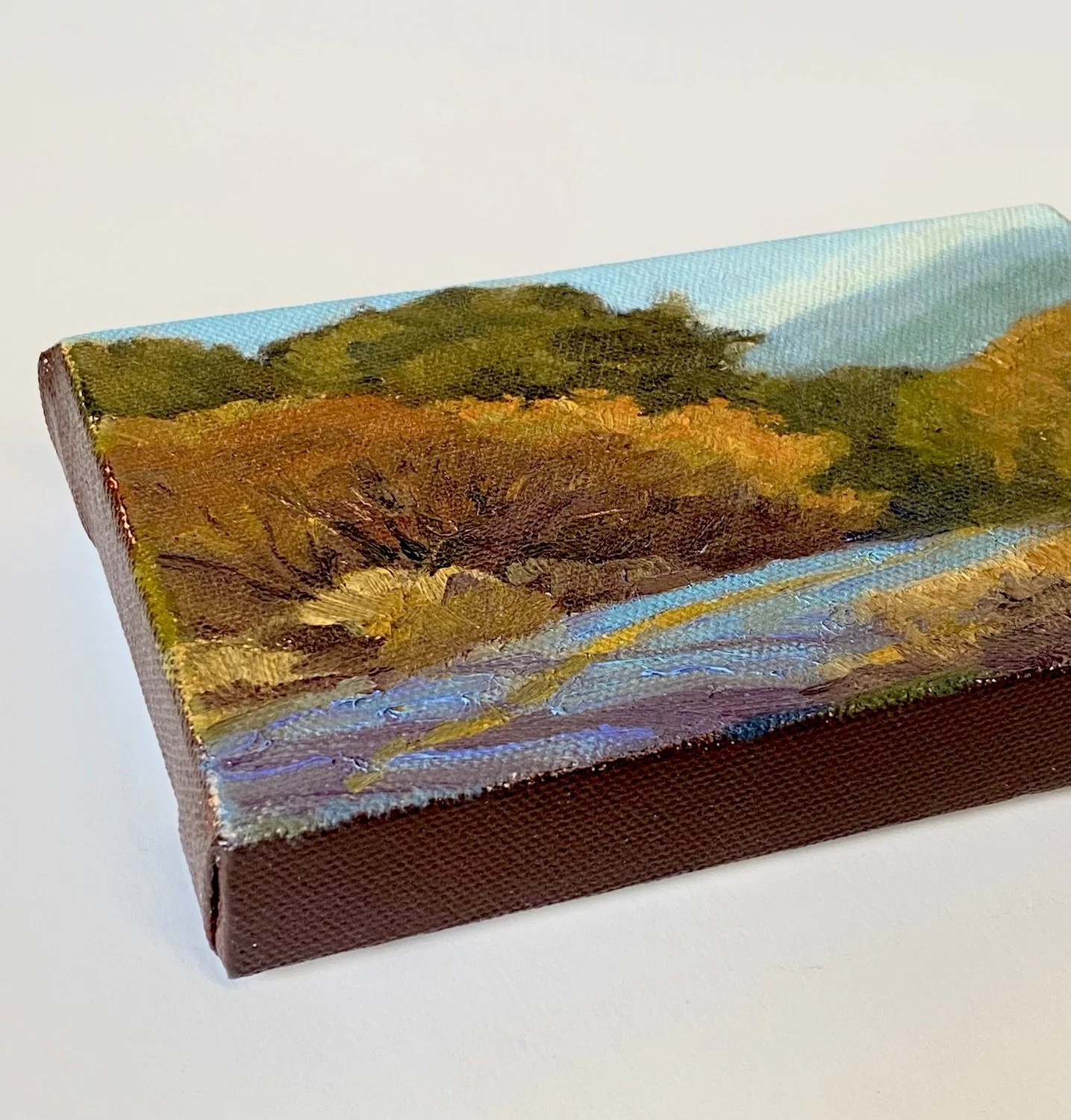 CCoy Bear Valley Rd_side view.jpeg