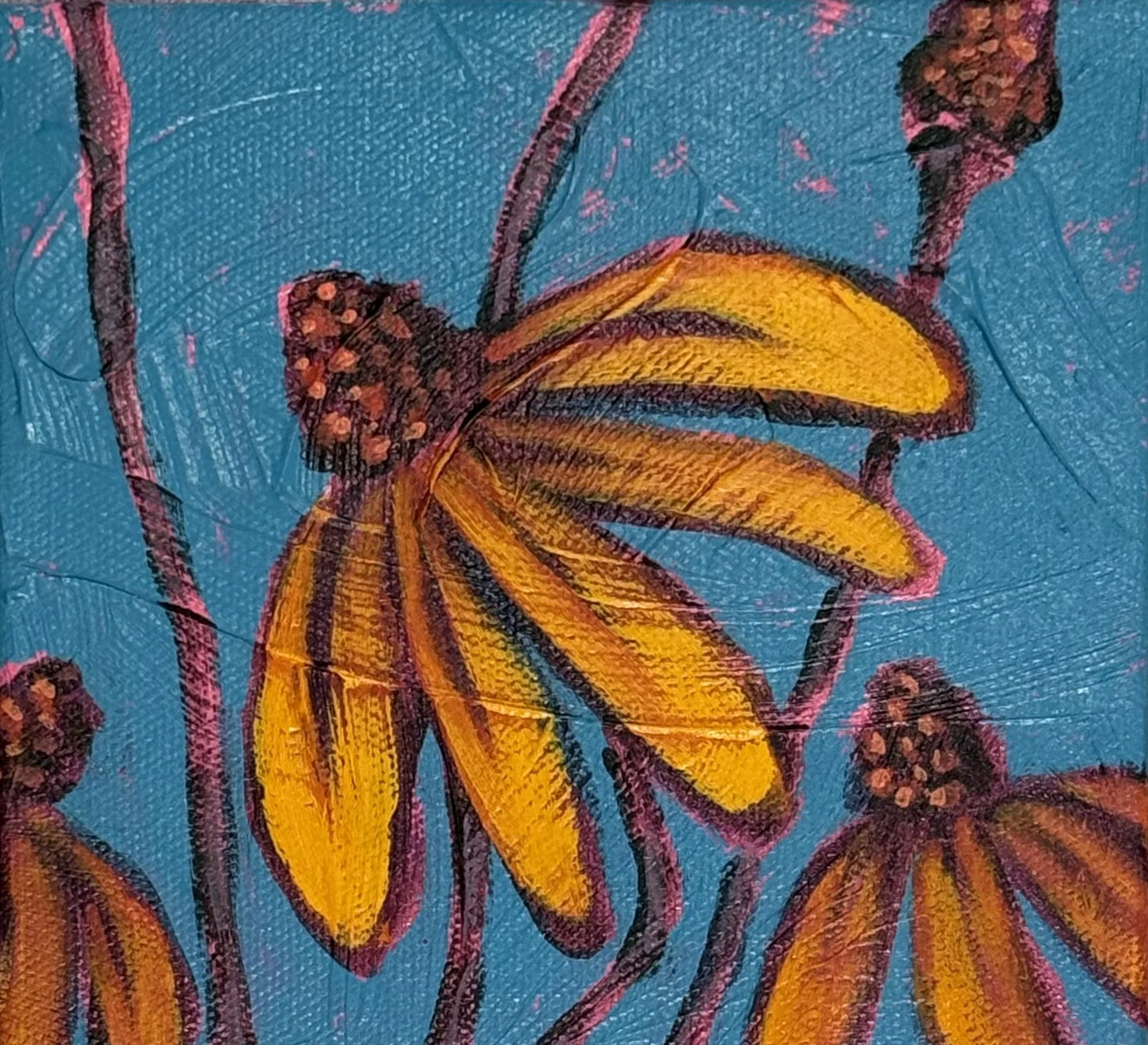 LGallegos-Cone flowers 2-front.jpg