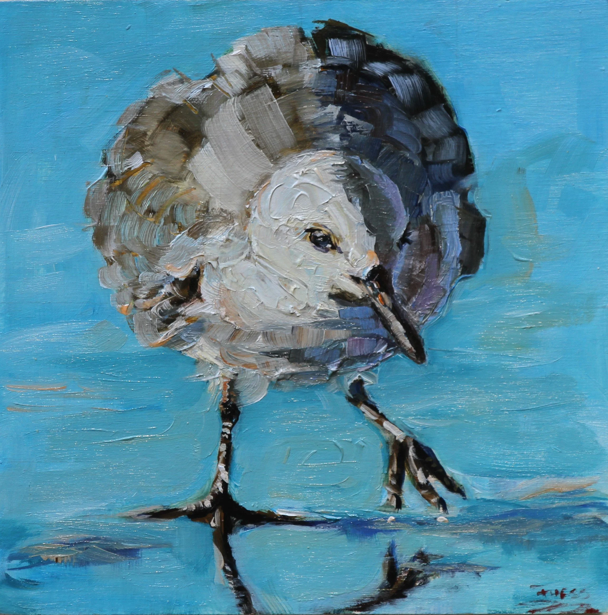 SFuess-Plover Dance_S.Fuess.JPG