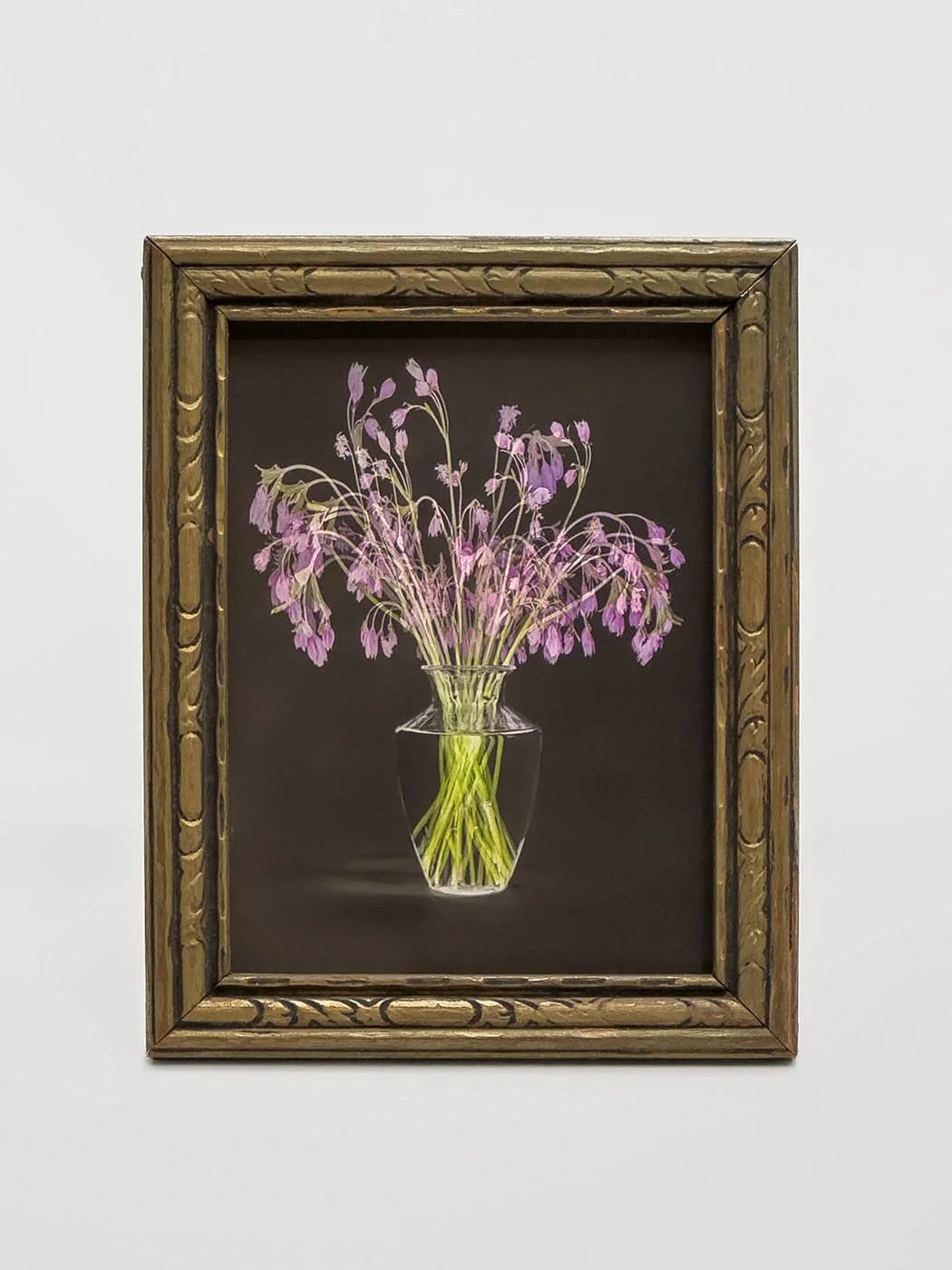 PVentosa_Astrantia's Whisper framed.jpg