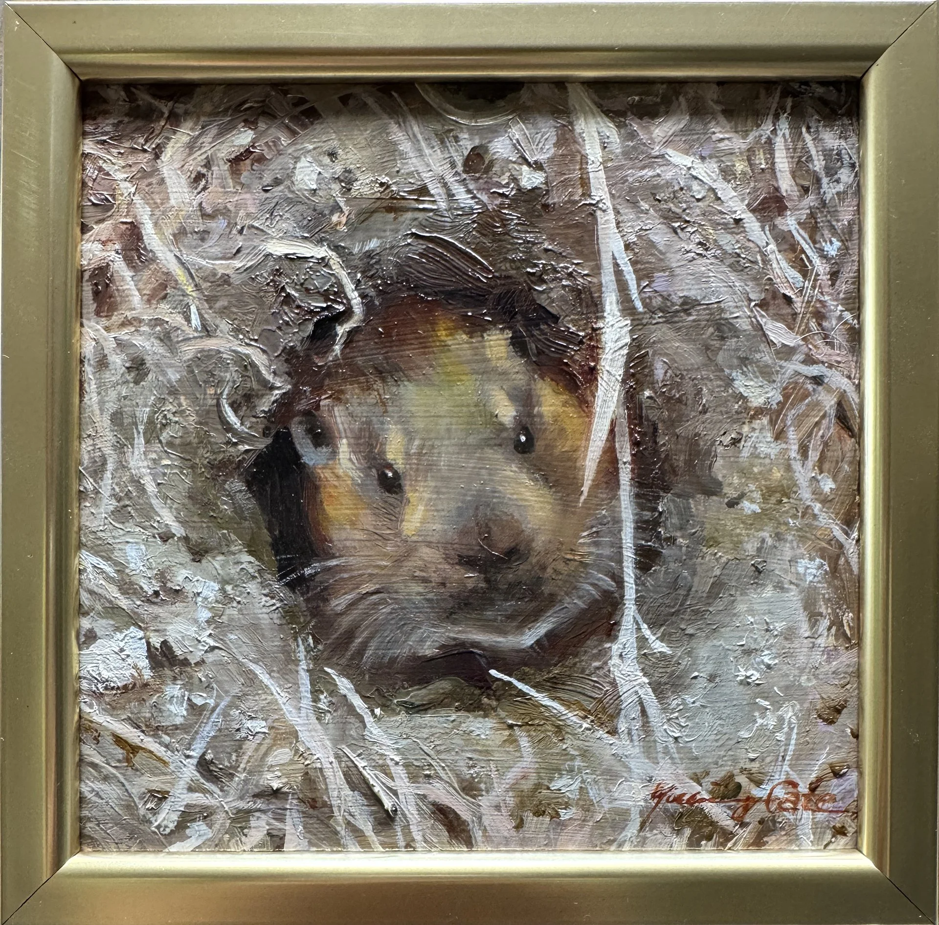 YCate-Ground Squirrel out of Burrow with frame.jpg
