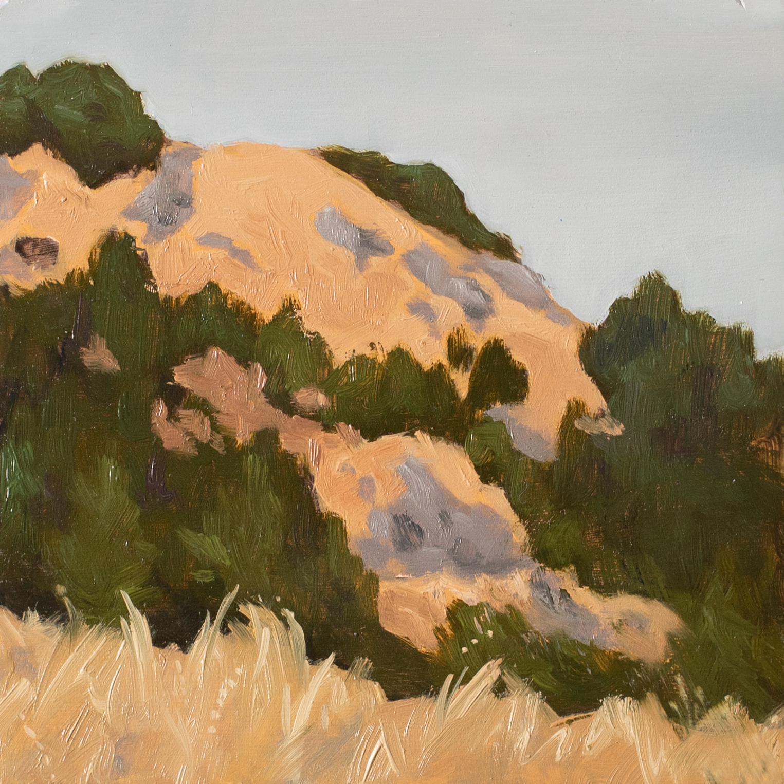 ARivera_Mt Tam #2_Cropped.png