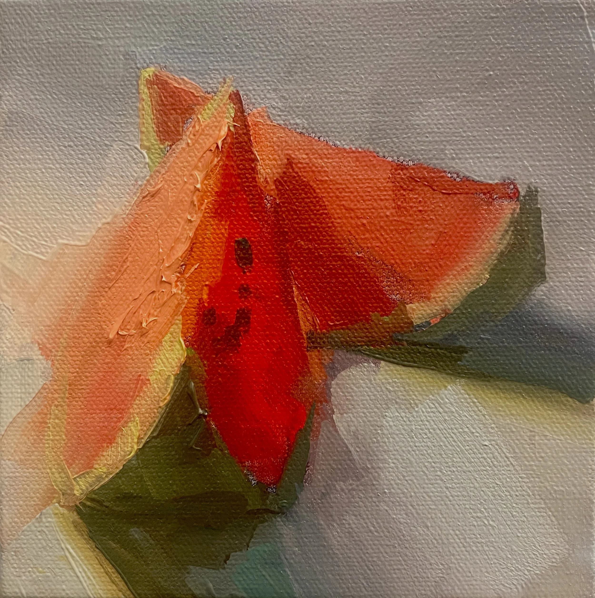 CTarzier_MiniWatermelon 6x6.jpg