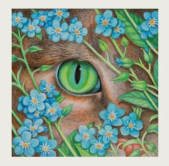 JLundman-CatsEyewithForgetmenots.jpeg
