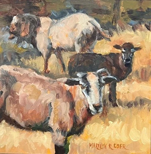 MEger-Elliot barn goats.jpeg