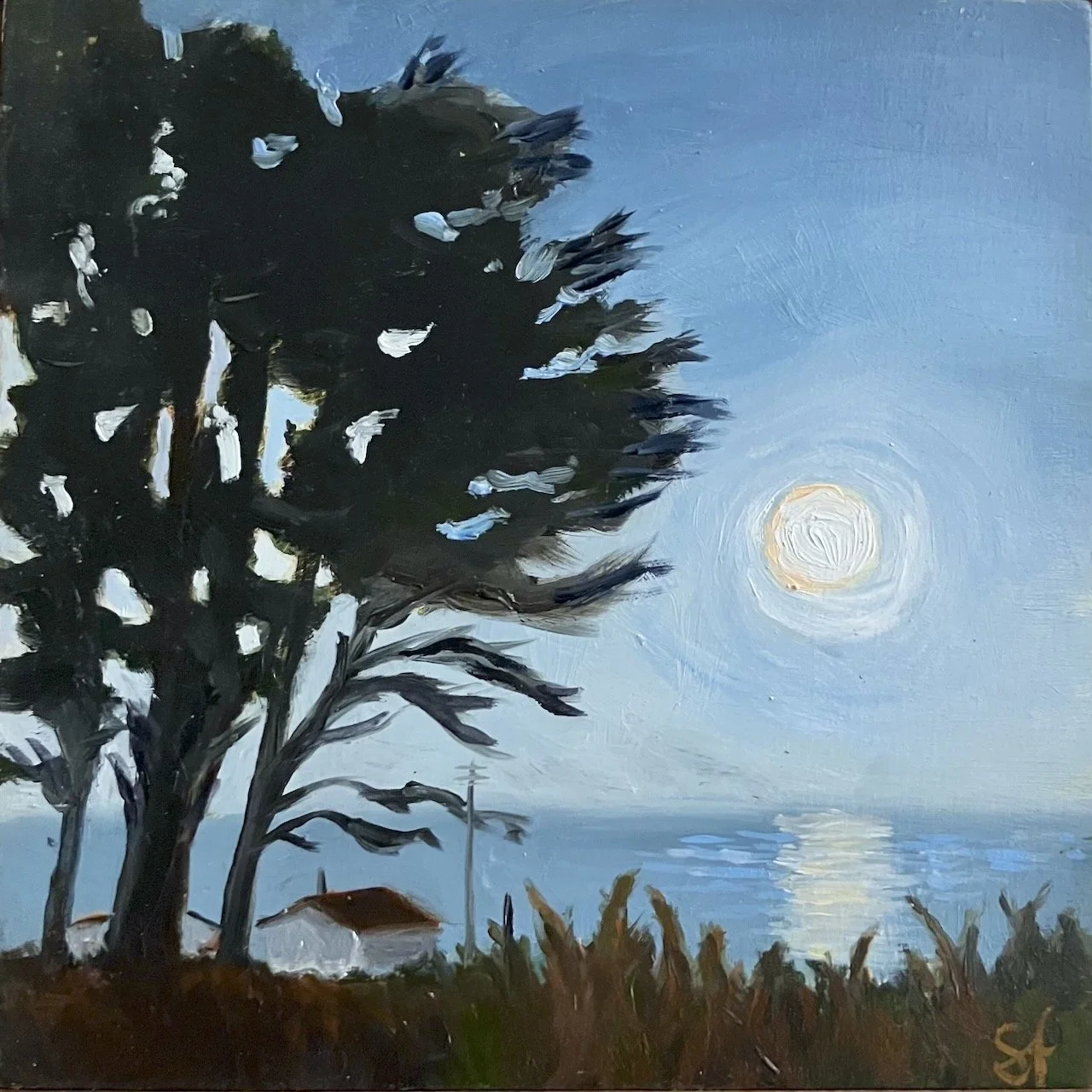 SFriedrich-bolinas moonrise-1.jpeg