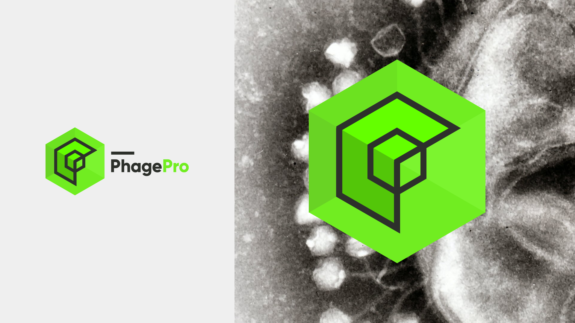 dashboard_cover copy.png