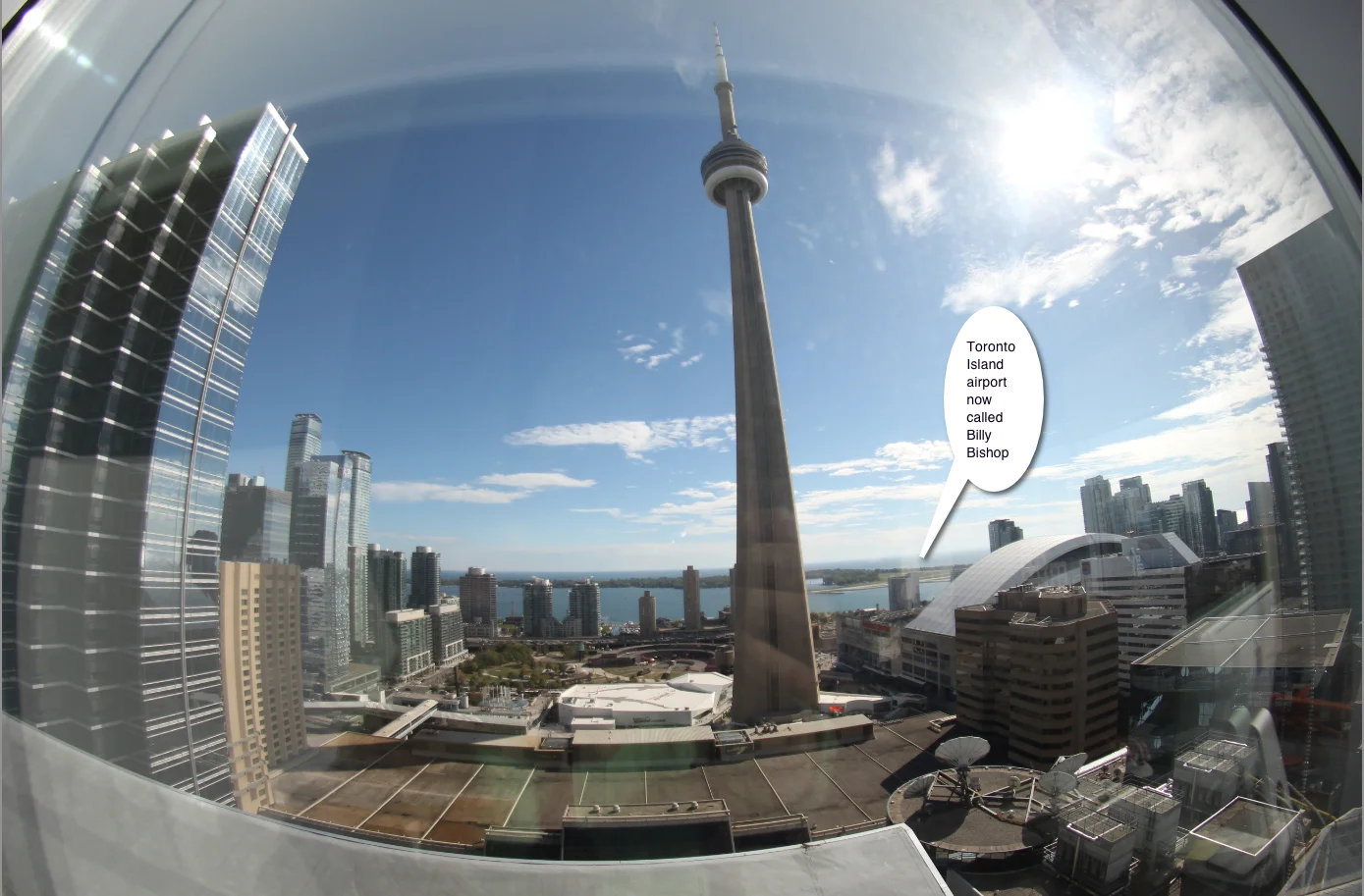 A view from my living room.